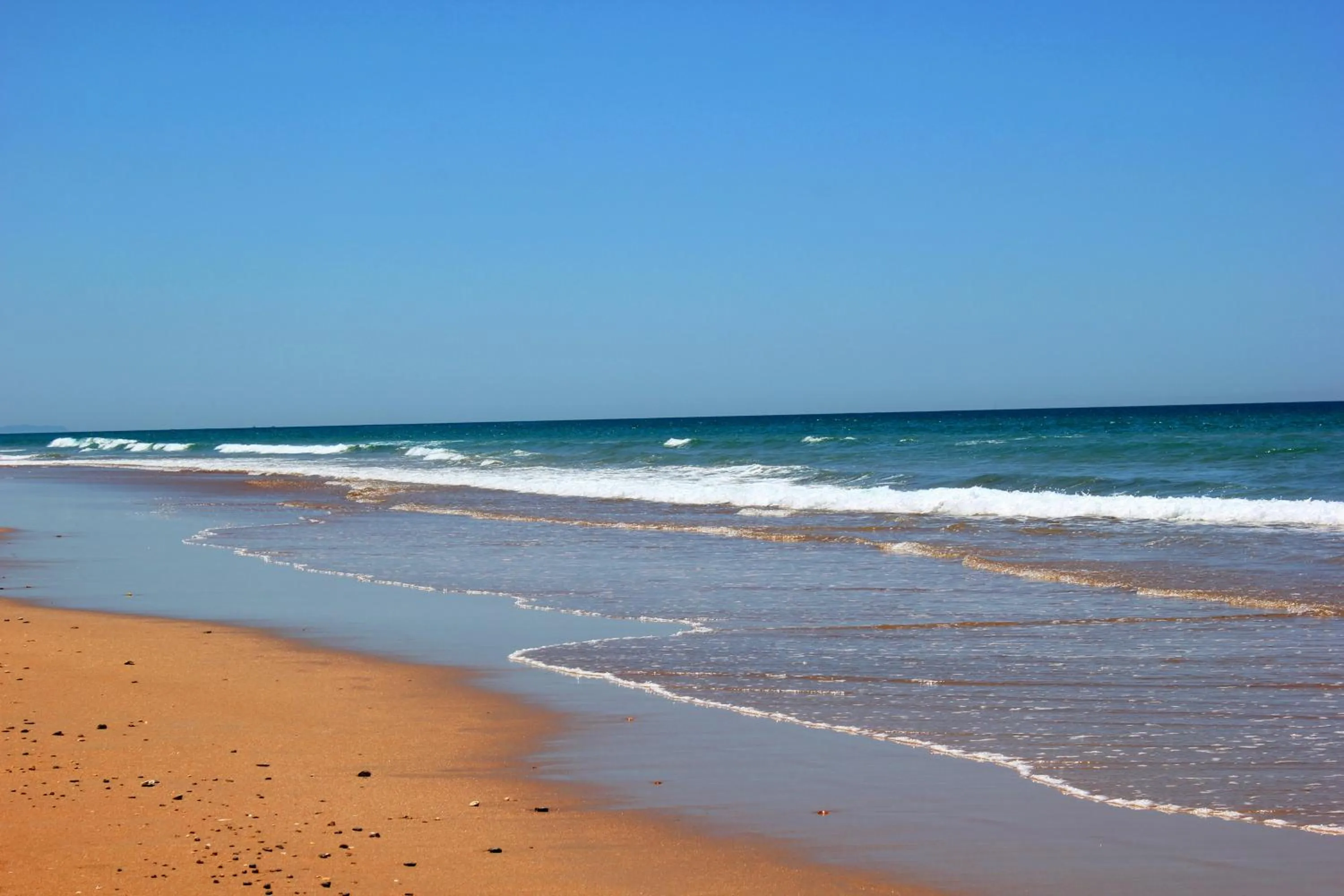 Natural landscape in Hotel Oasis