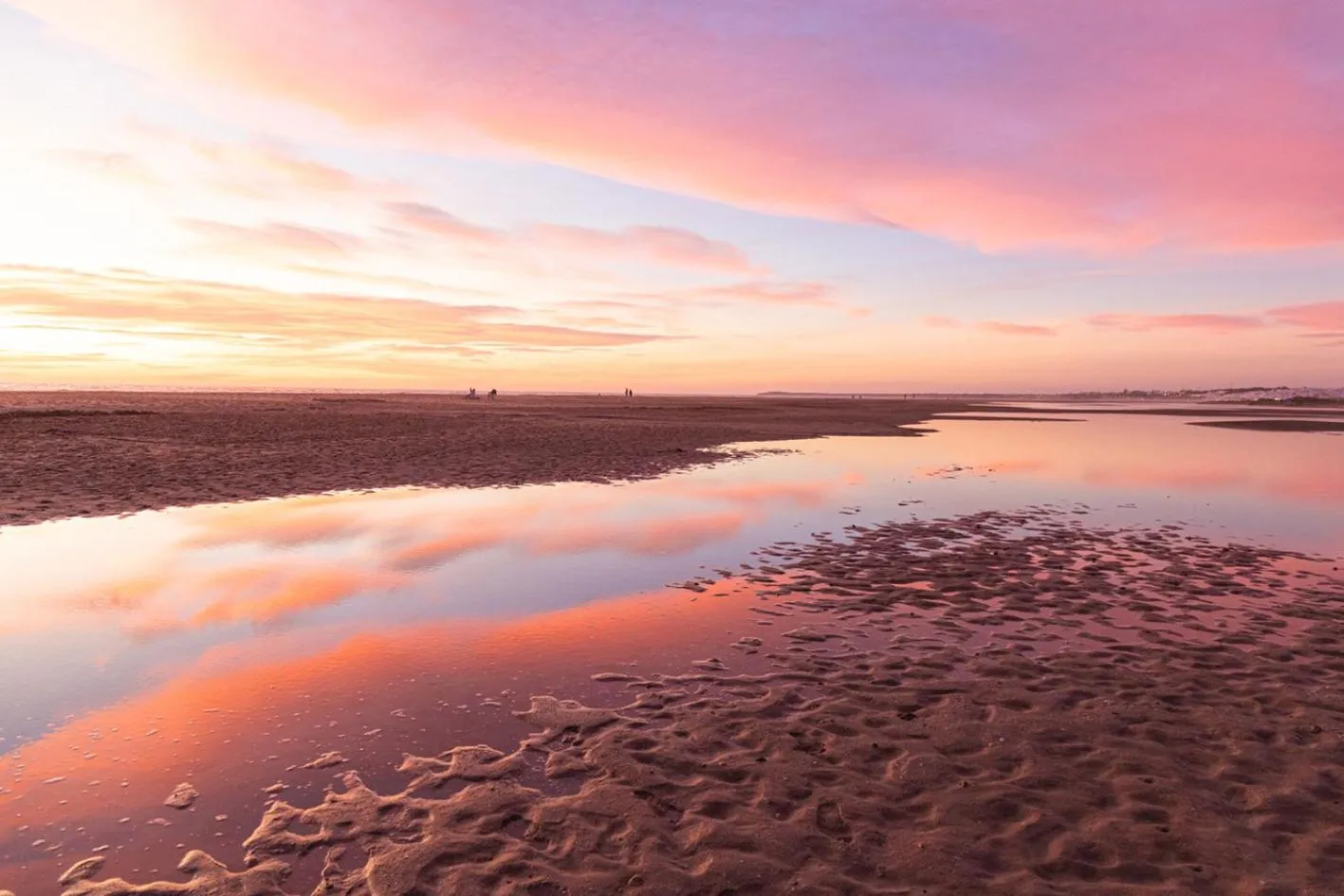 Beach in Hotel Oasis