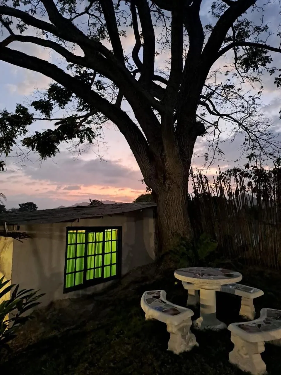 Garden view in HOTEL RENASCI PALOMINO