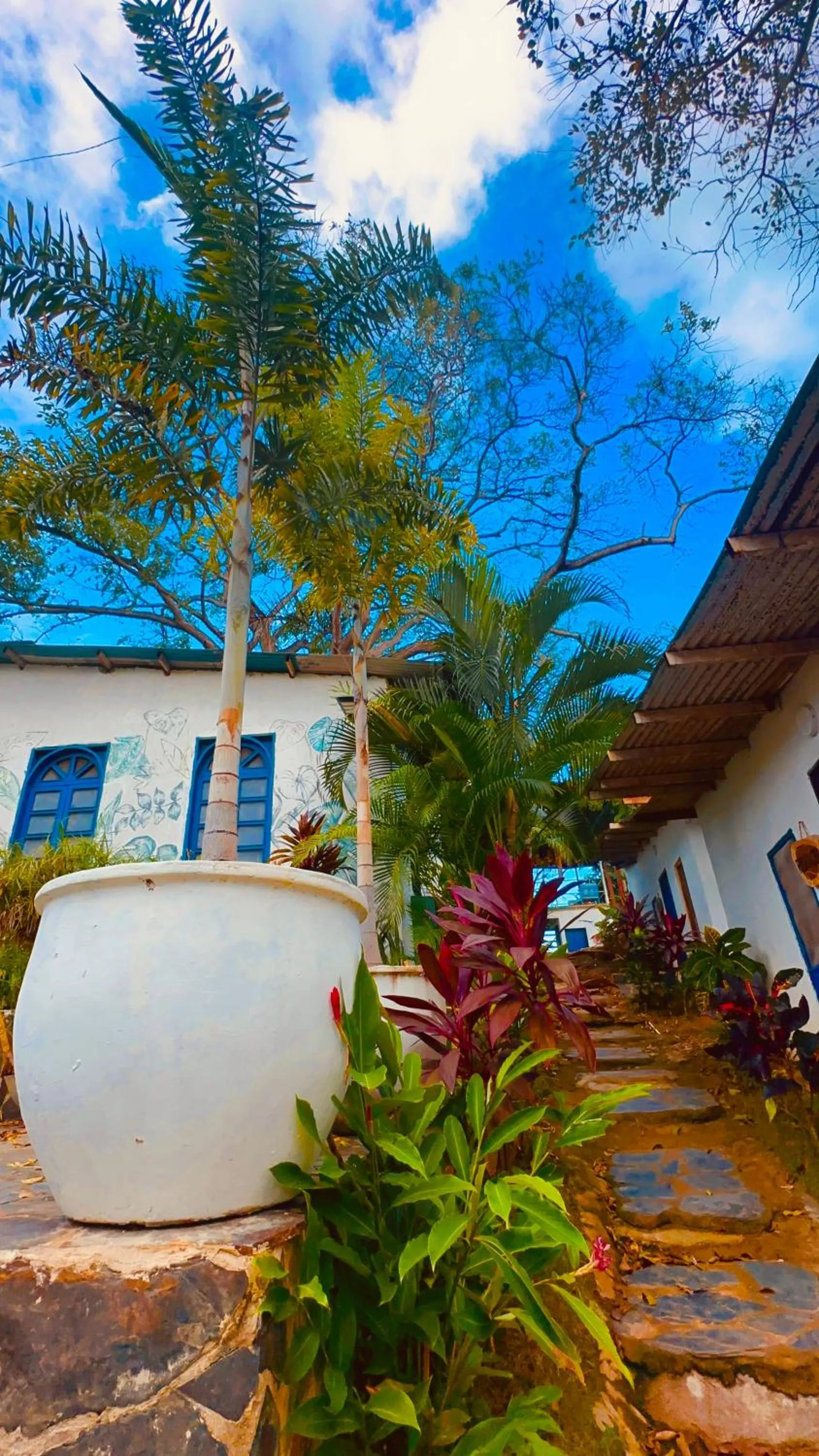 HOTEL RENASCI PALOMINO