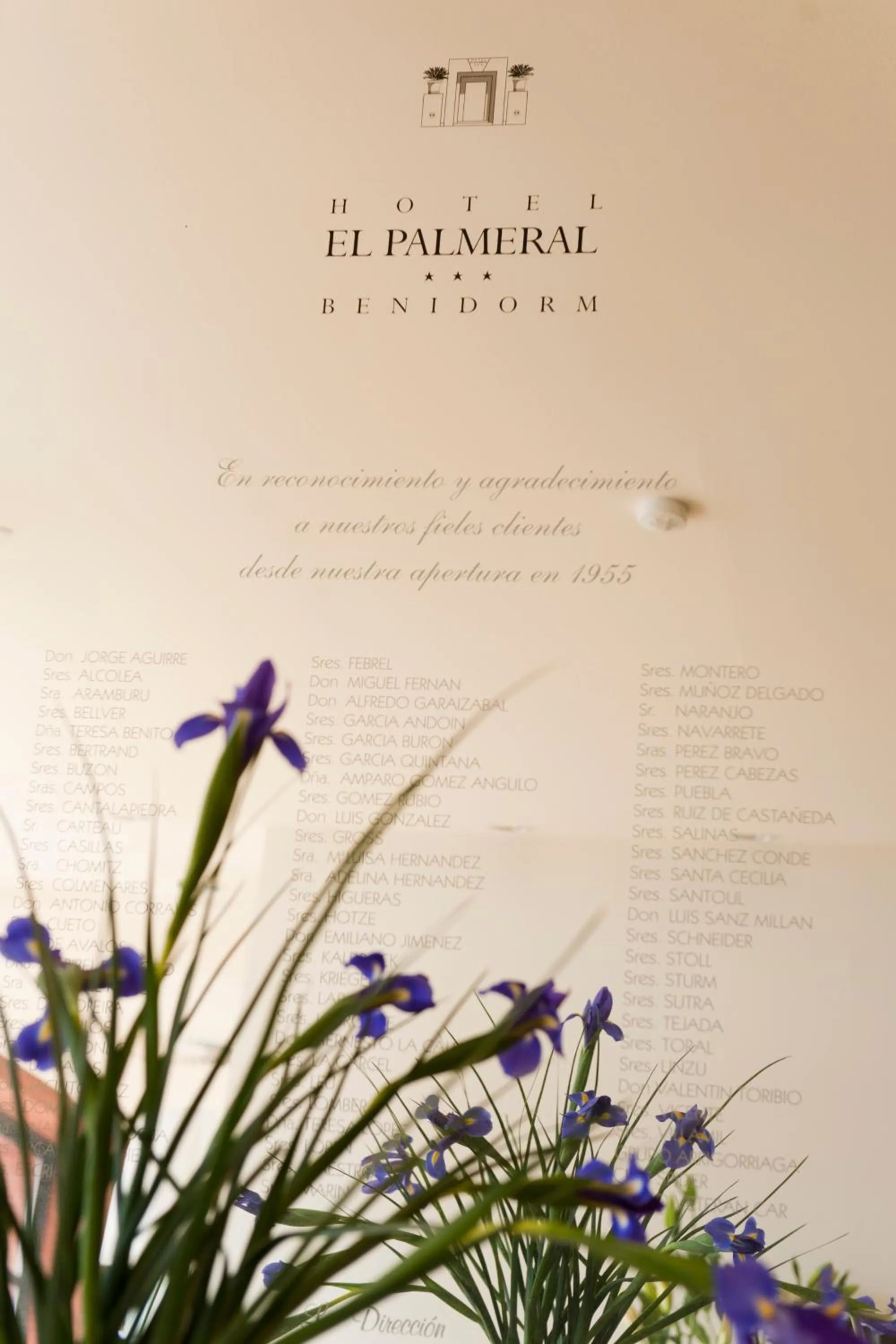 Other in Hotel El Palmeral