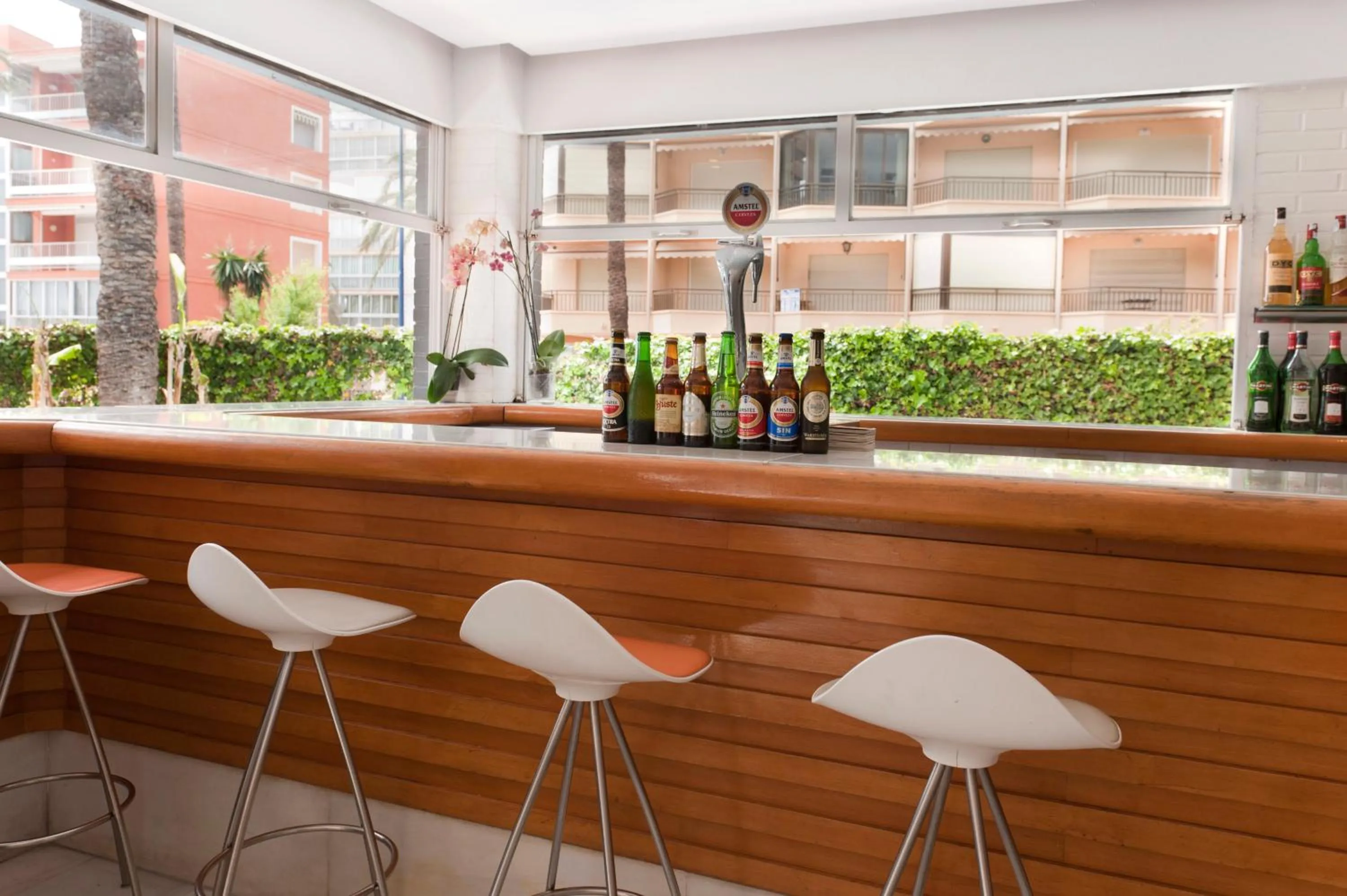 Lounge or bar in Hotel El Palmeral