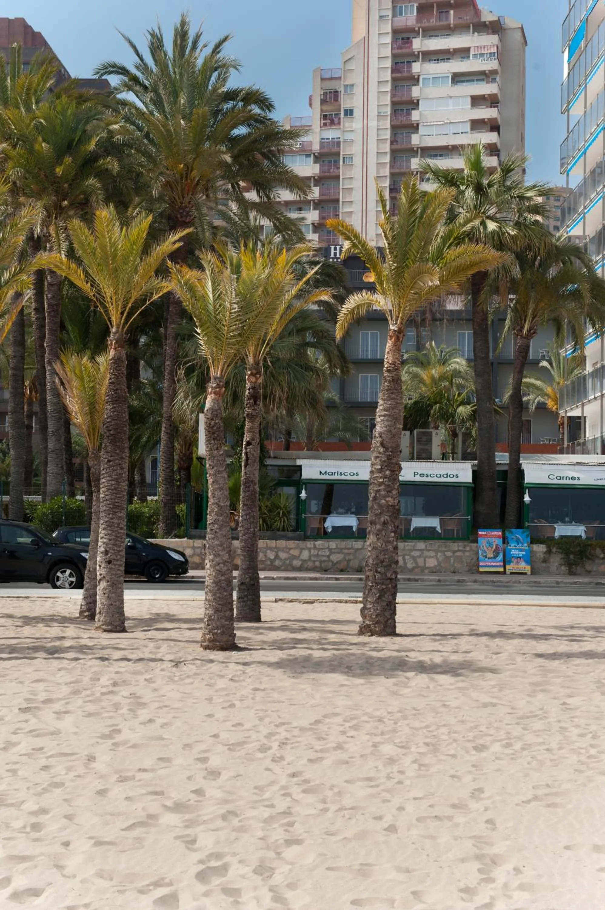 Beach in Hotel El Palmeral