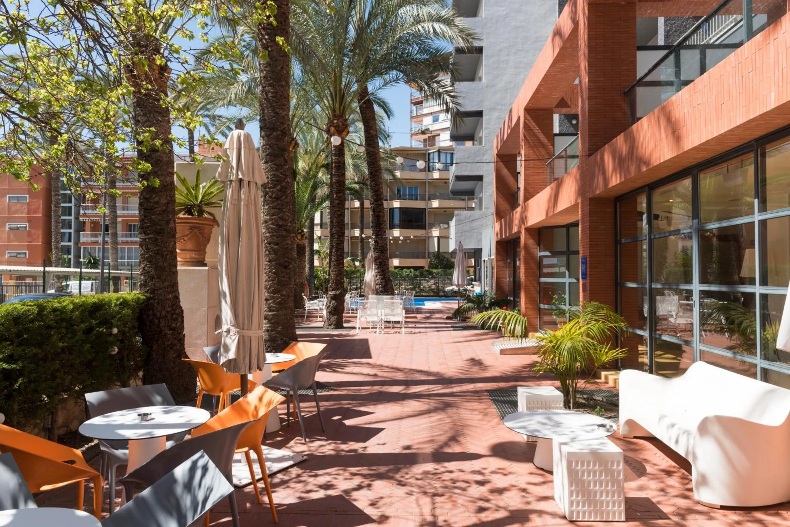 Garden in Hotel El Palmeral
