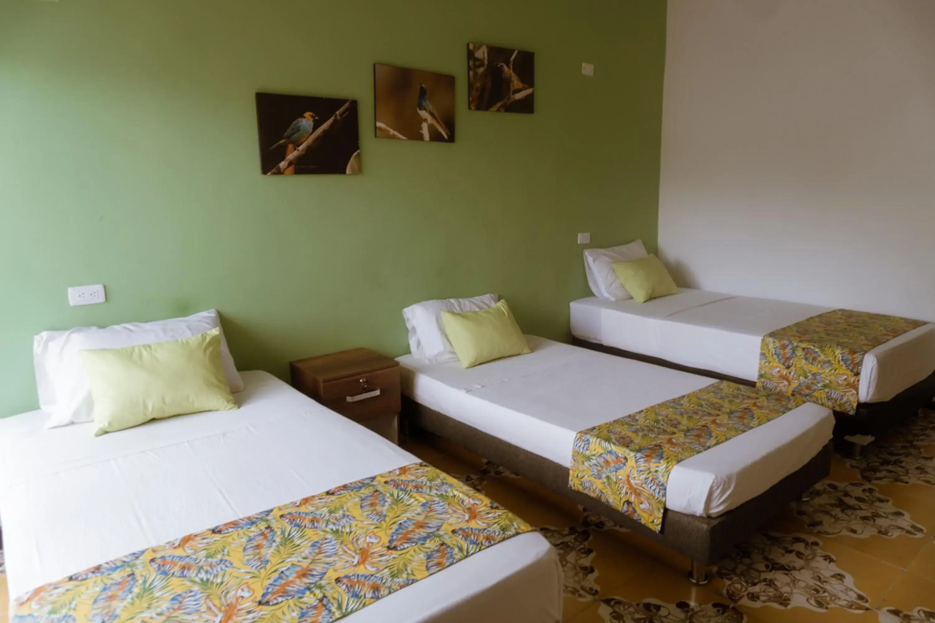 Double or Twin Room with Shared Bathroom - single occupancy in Tuki Hostel & Lounge Double or Twin Room with Shared Bathroom - single occupancy in Tuki Hostel & Lounge