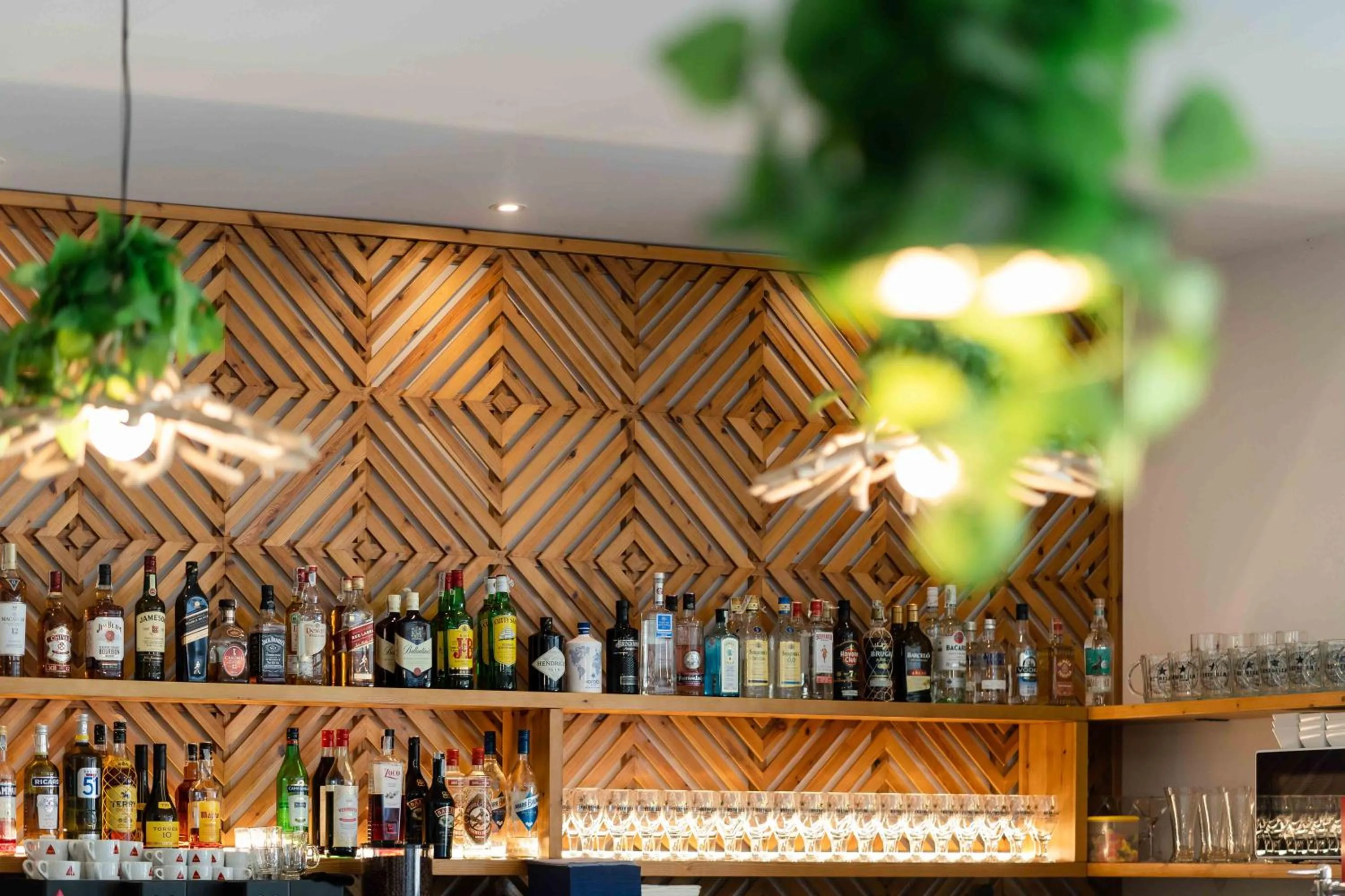 Lounge or bar in Hotel Planas