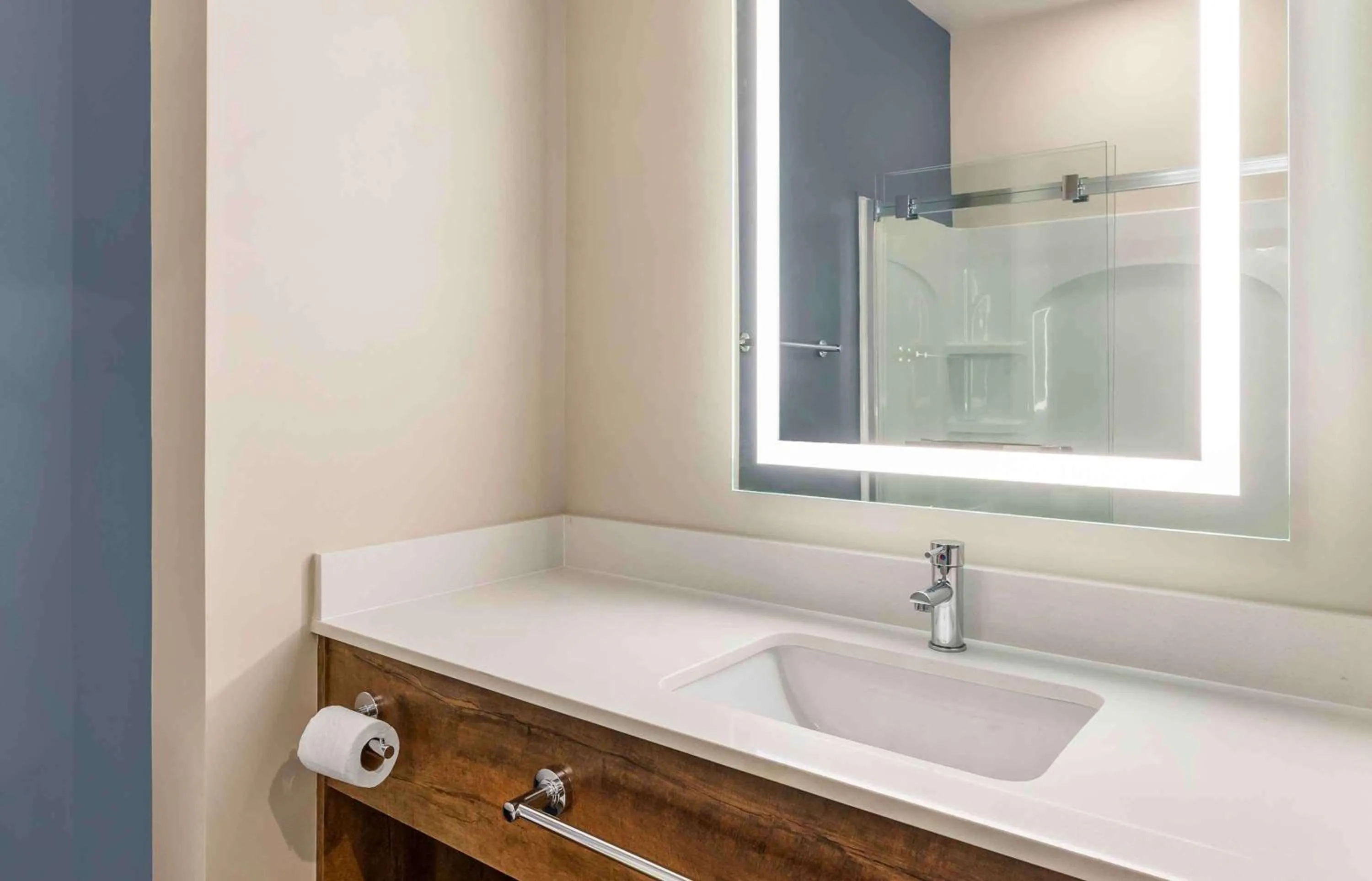 Bathroom in Extended Stay America Premier Suites - Fredericksburg