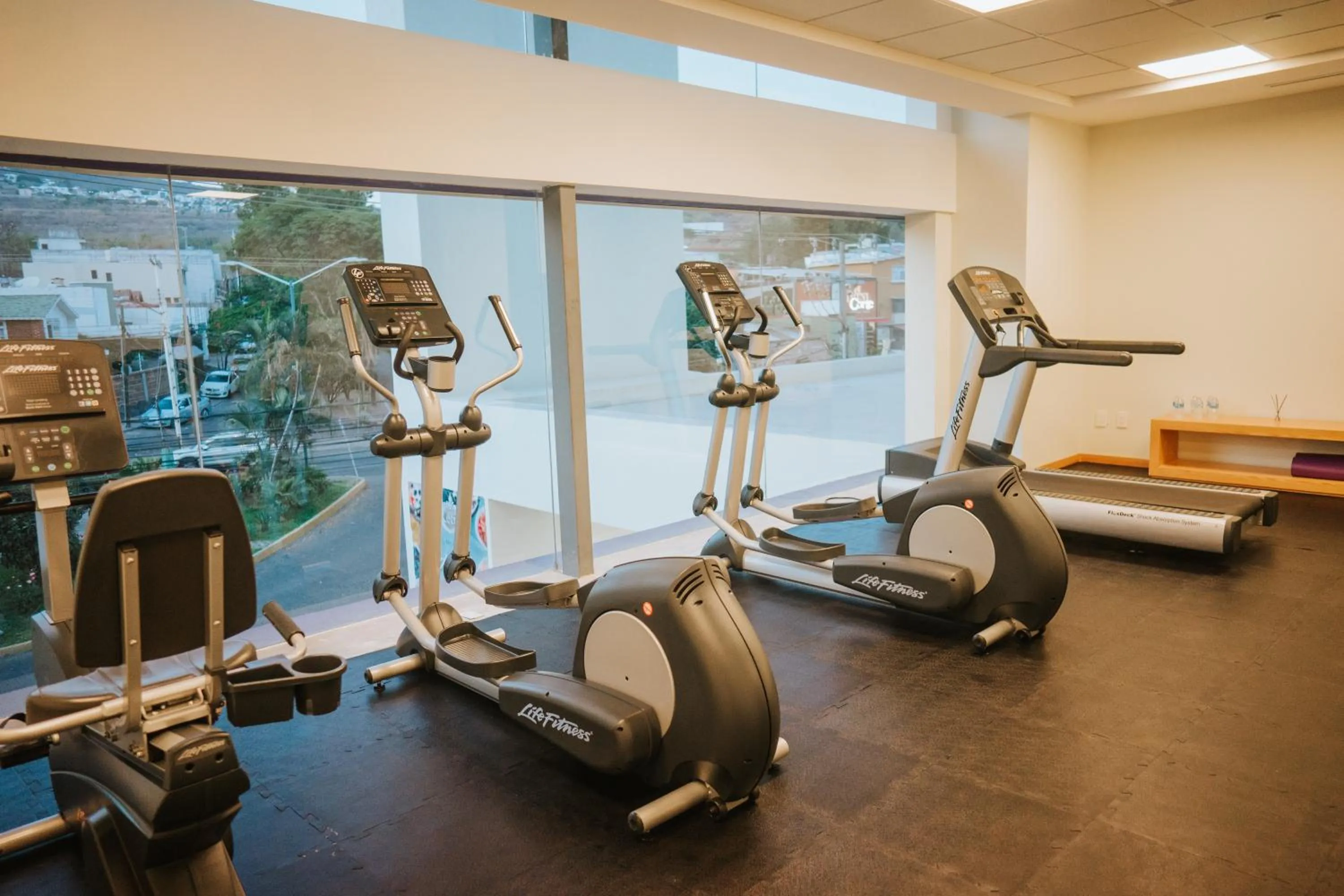 Fitness centre/facilities in Gran Hotel Concordia Irapuato