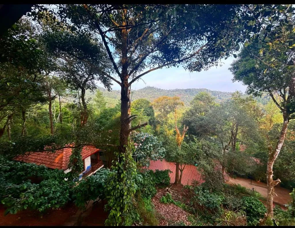 Jungle Hill Resort Coorg