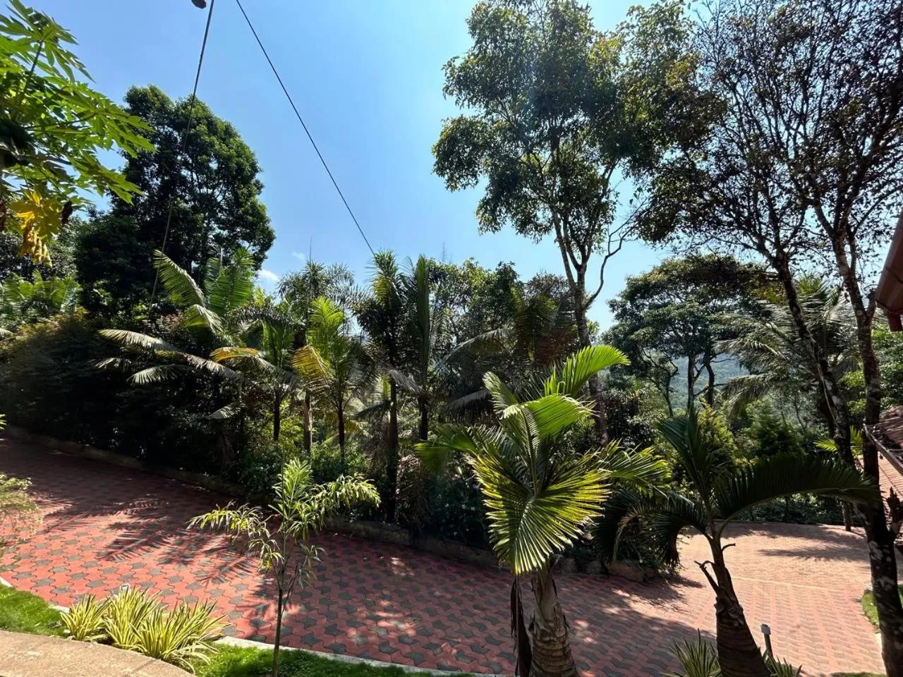 Jungle Hill Resort Coorg