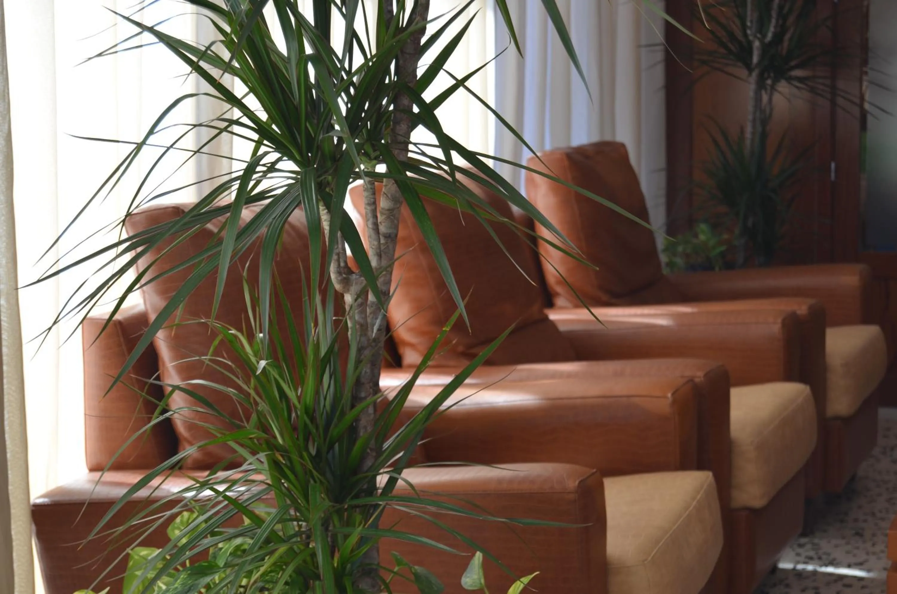 Communal lounge/ TV room in Hotel Sant Jordi