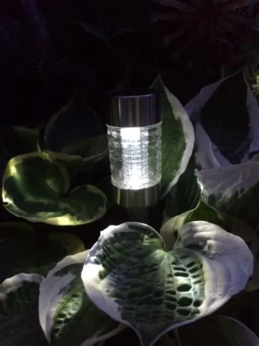 Night in River Road, Littlehampton, Executive Apartment