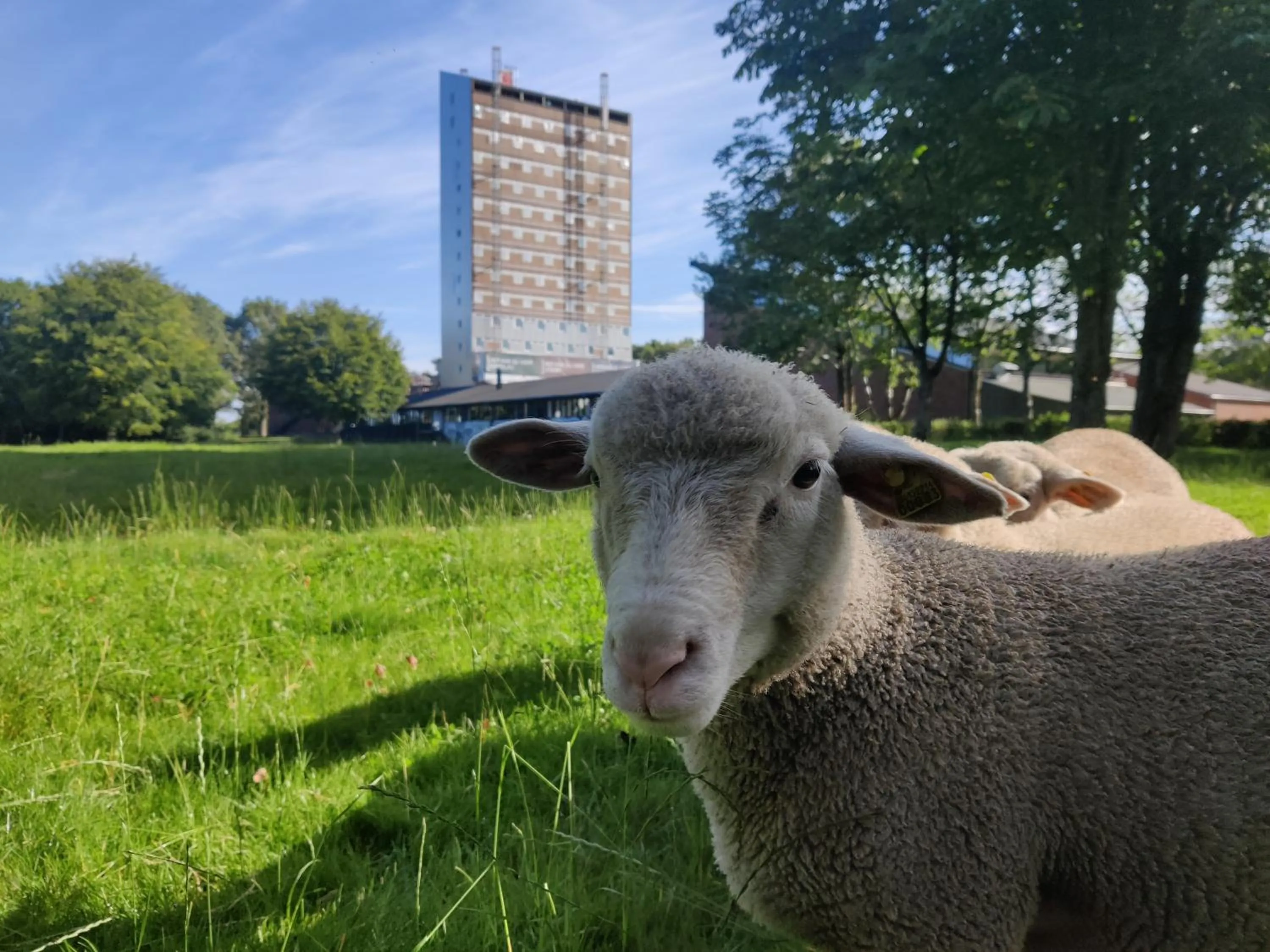 Property building in Højhuset Kulturhotel