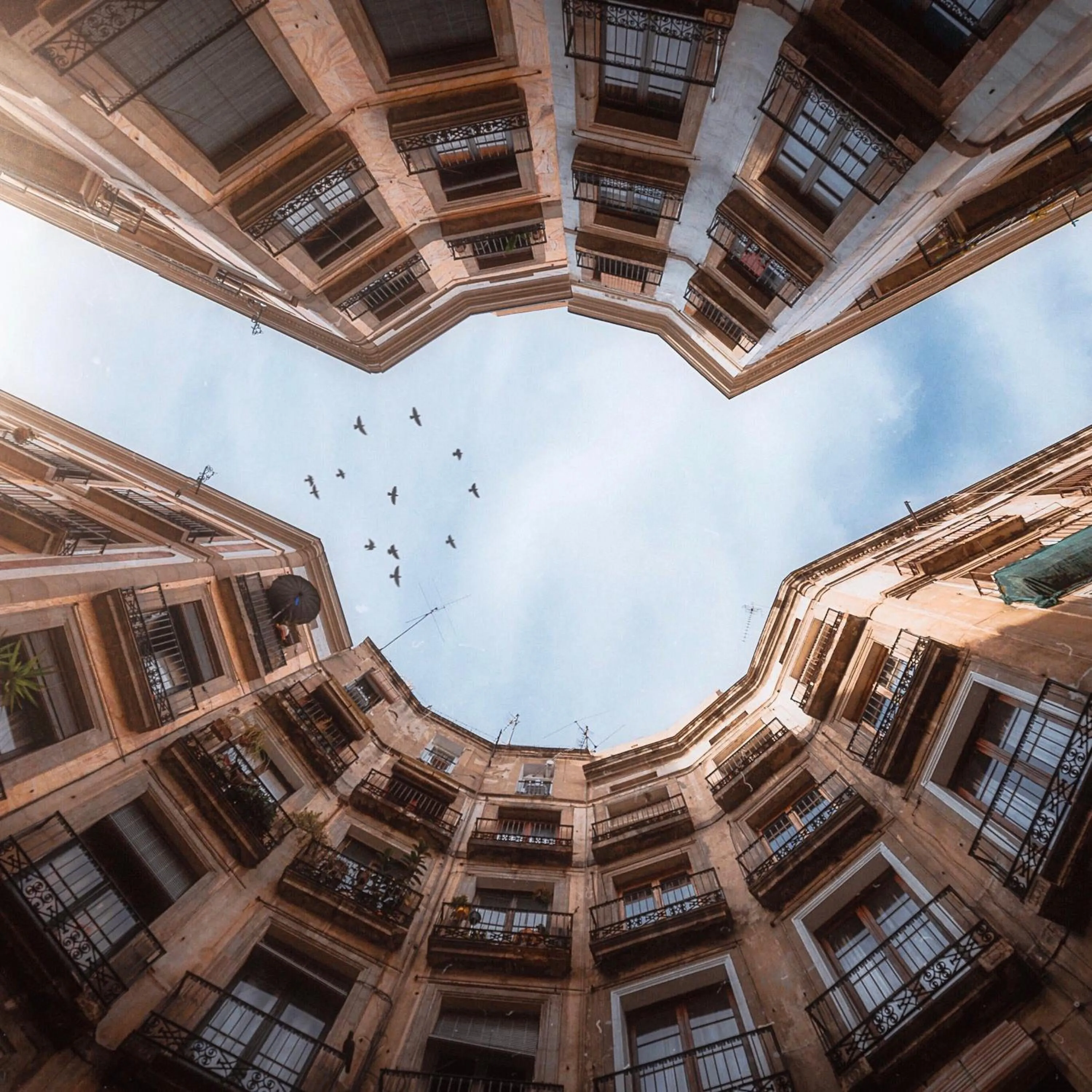 Activities in TOC Hotel Las Ramblas