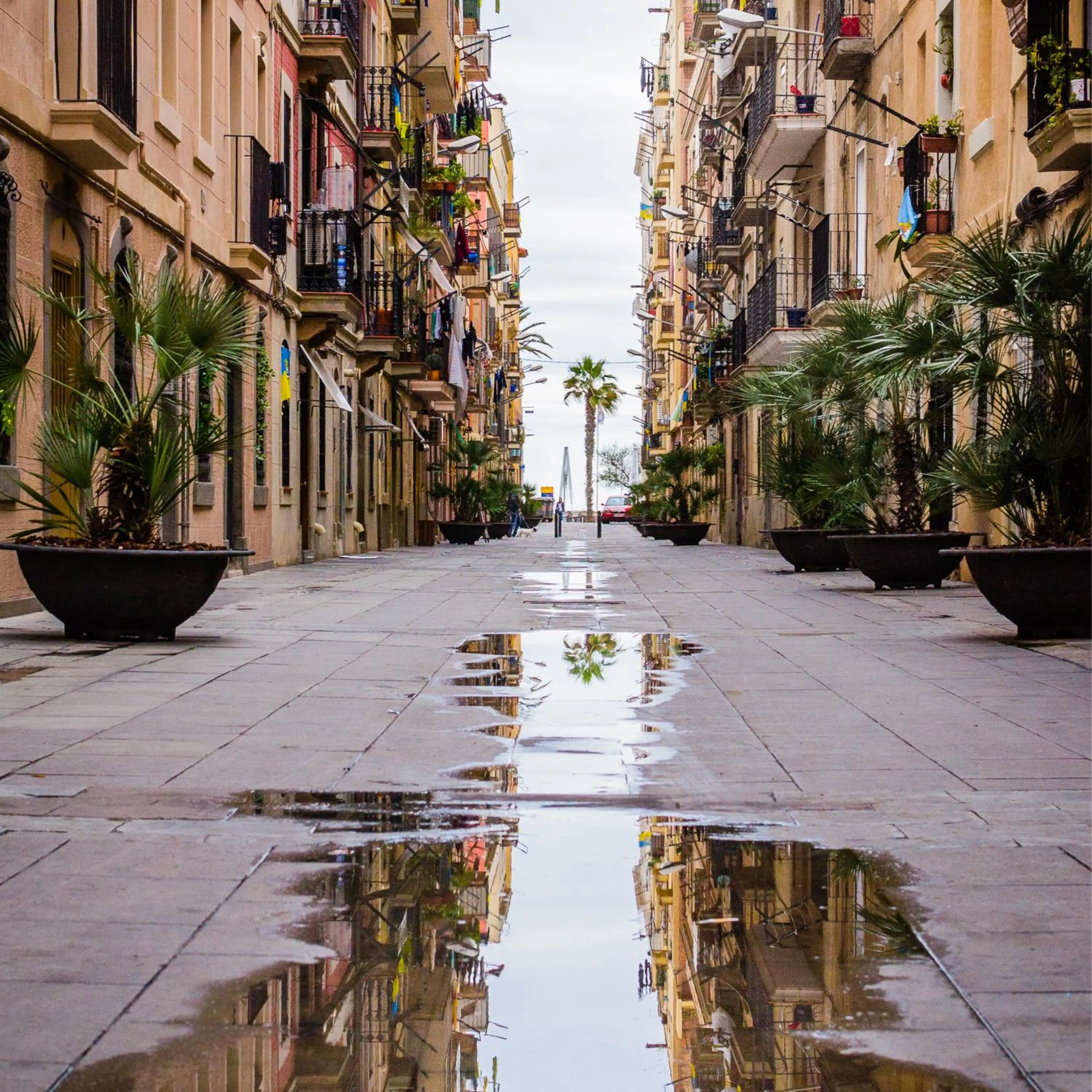 Neighbourhood in TOC Hotel Las Ramblas