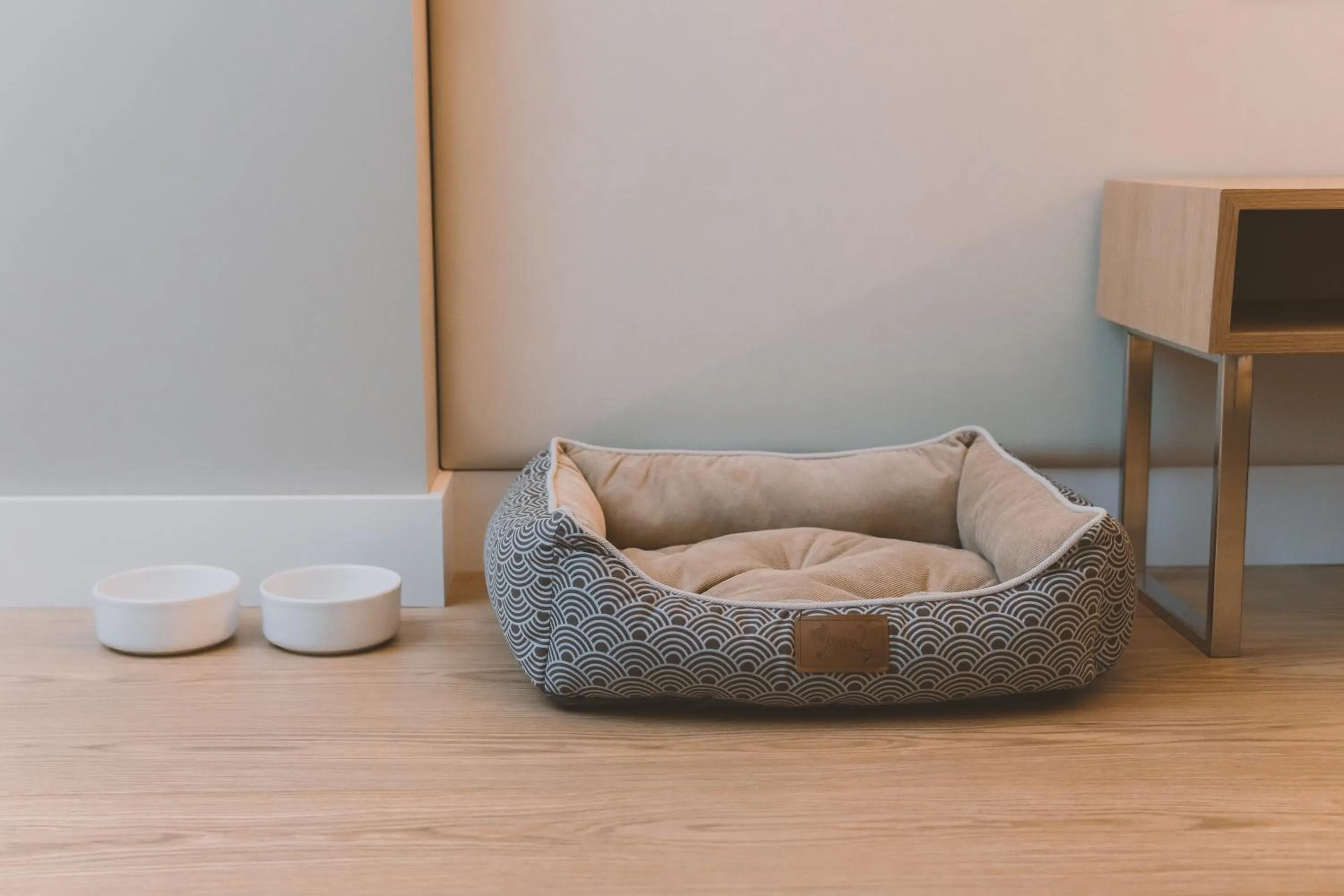 Pets in HOTEL CANDOR