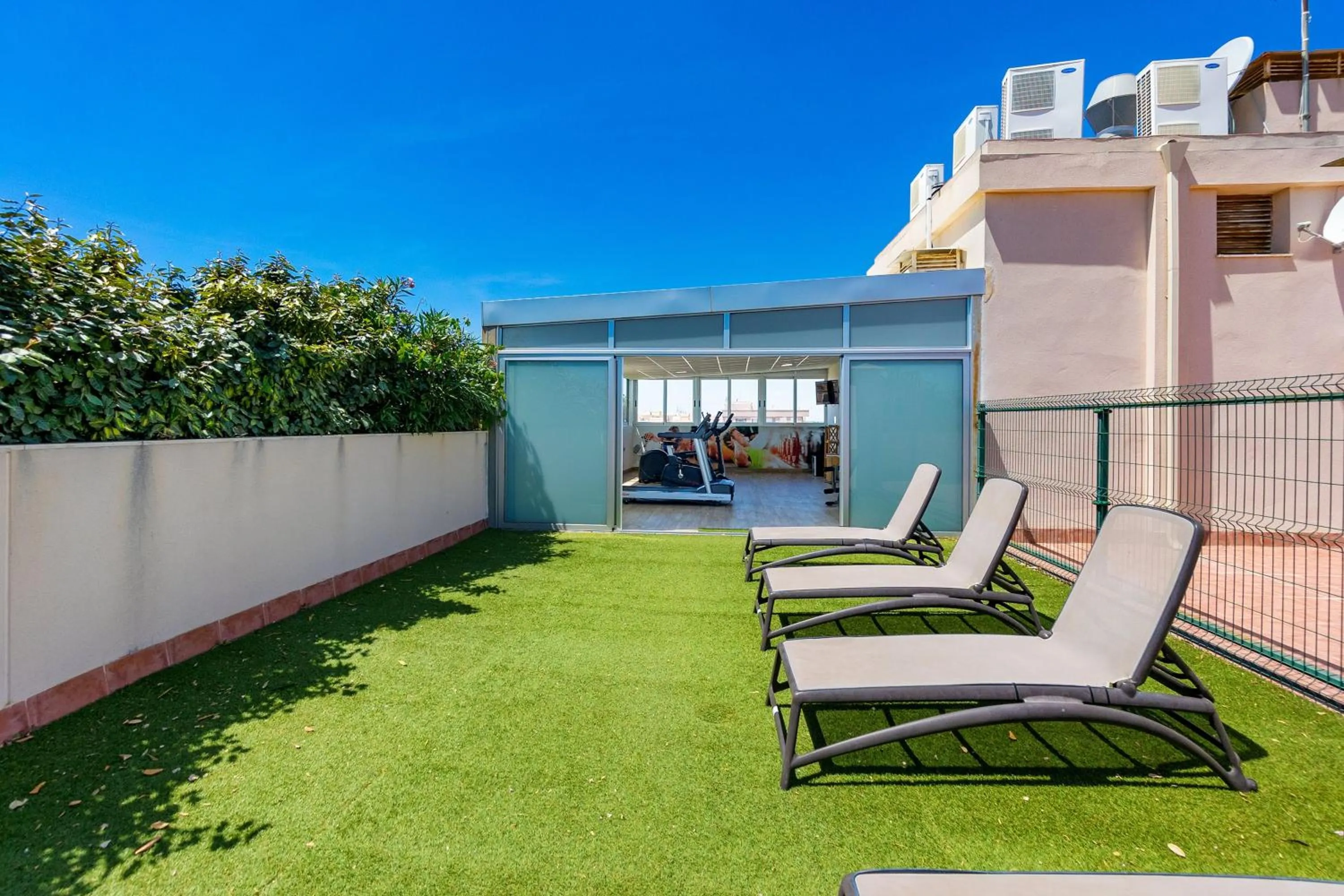 Garden in Hotel Areca