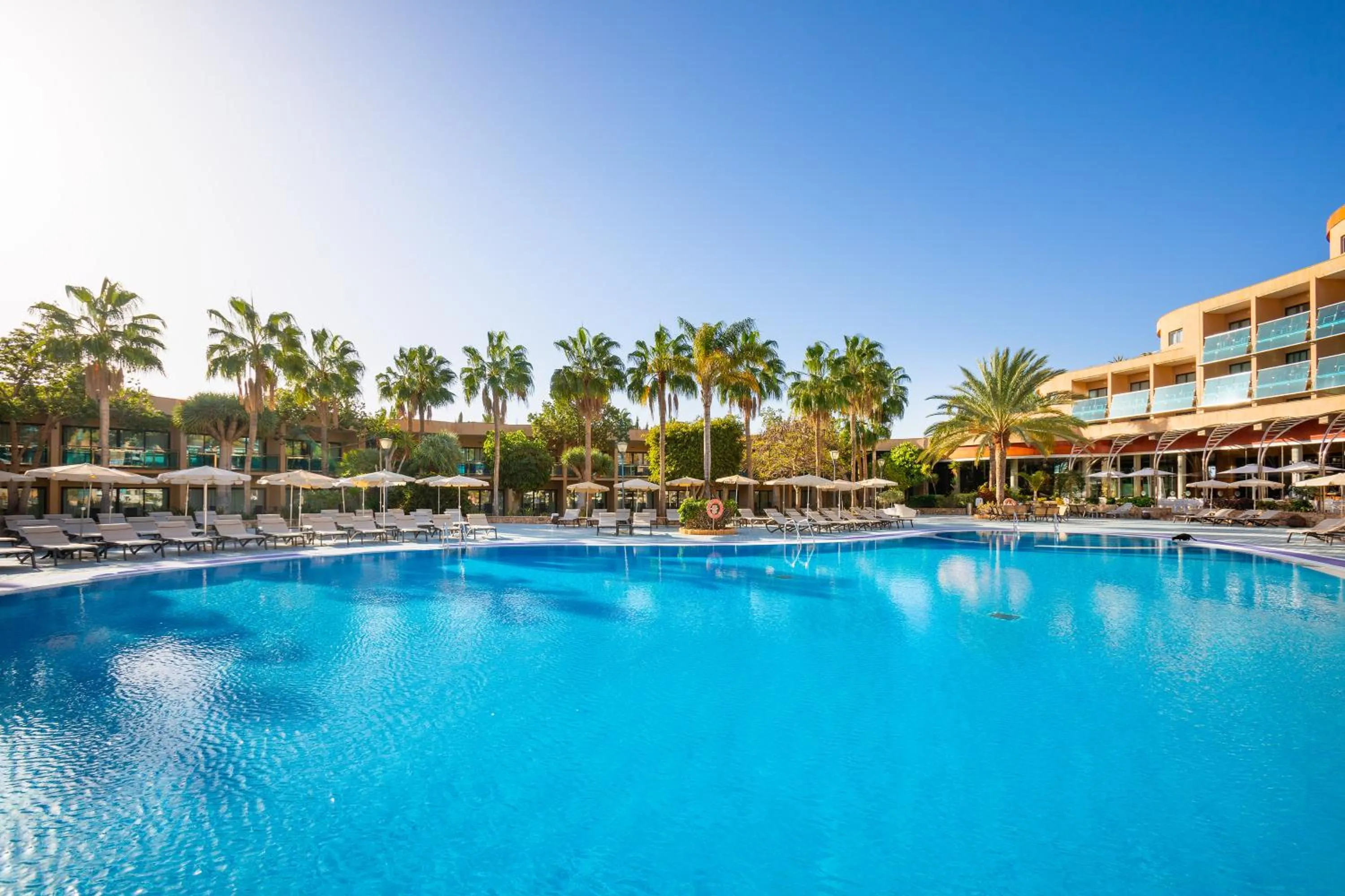 Area and facilities in MUR Faro Jandia Fuerteventura & Spa