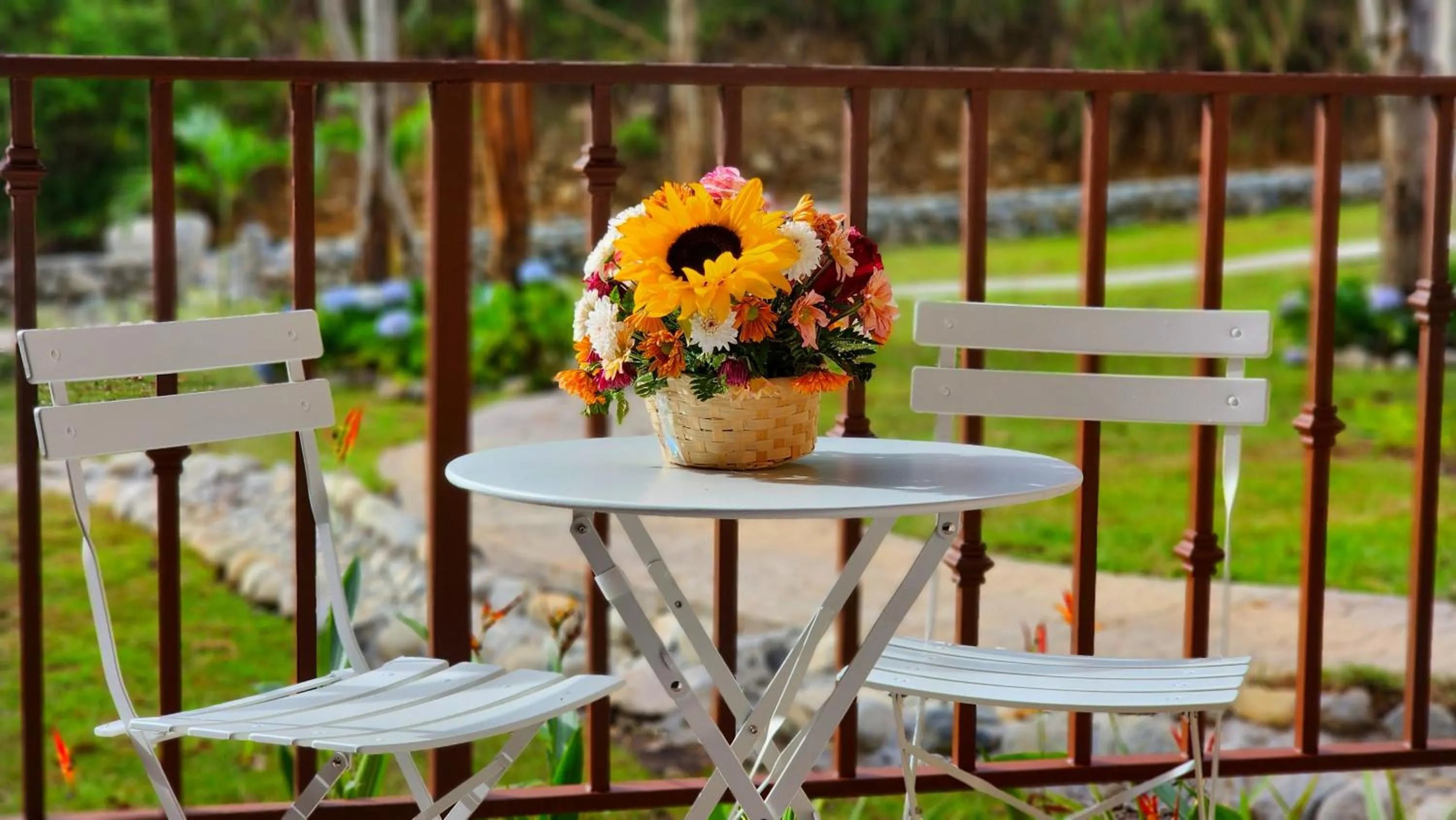 Patio in Rio Verde by Villa Alejandro