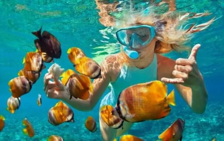 Snorkeling in The Donno ubud Guest house
