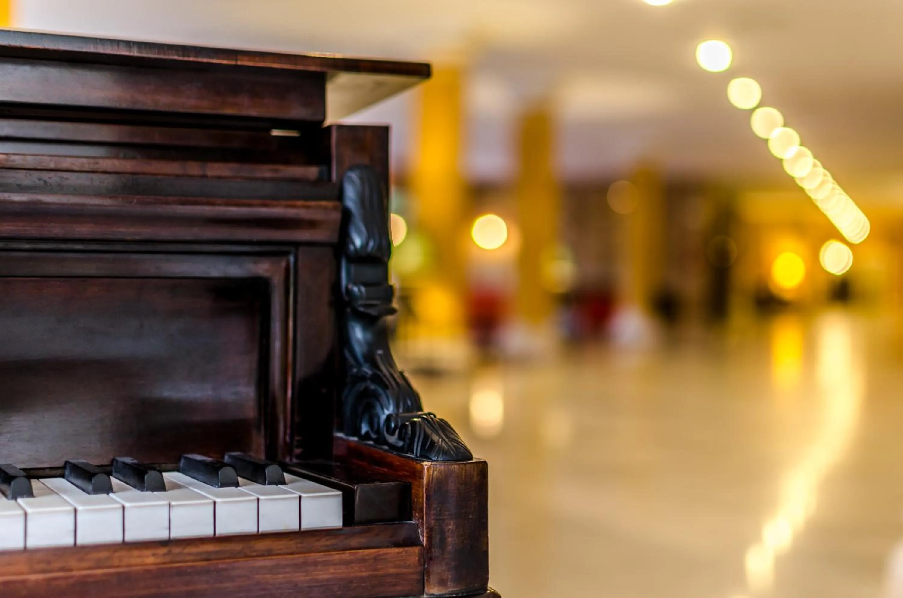 Other in Exe Guadalete