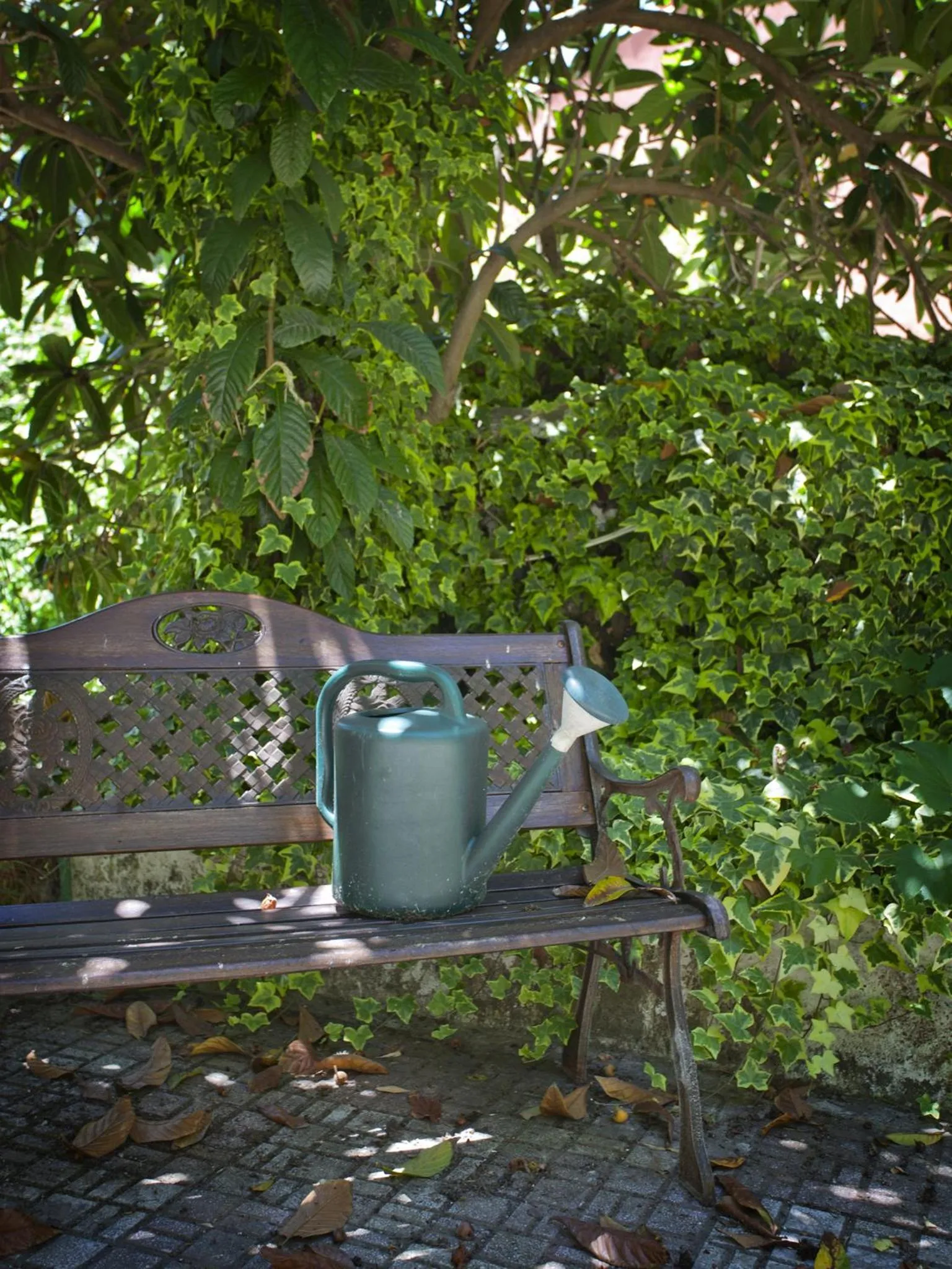 Day in Hotel Rural Molino del Puente Ronda