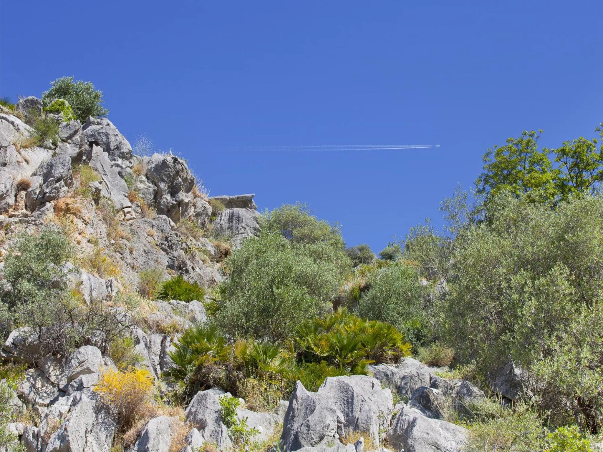 Day in Hotel Rural Molino del Puente Ronda