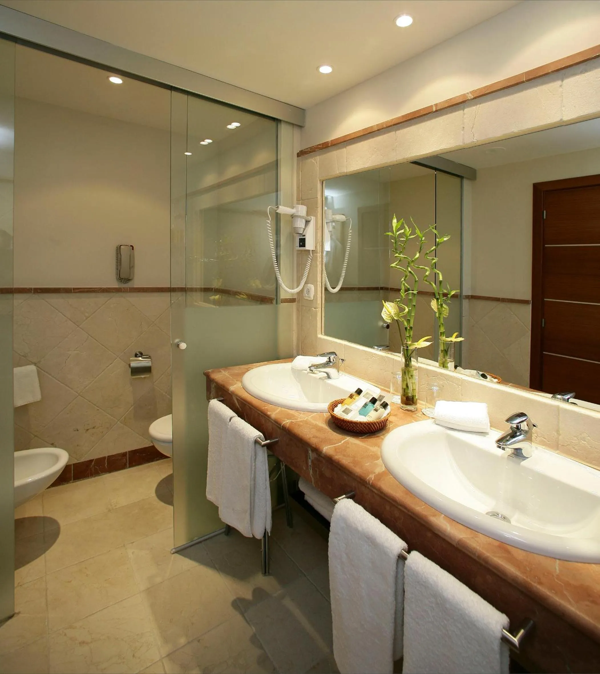 Toilet in Senator Banus