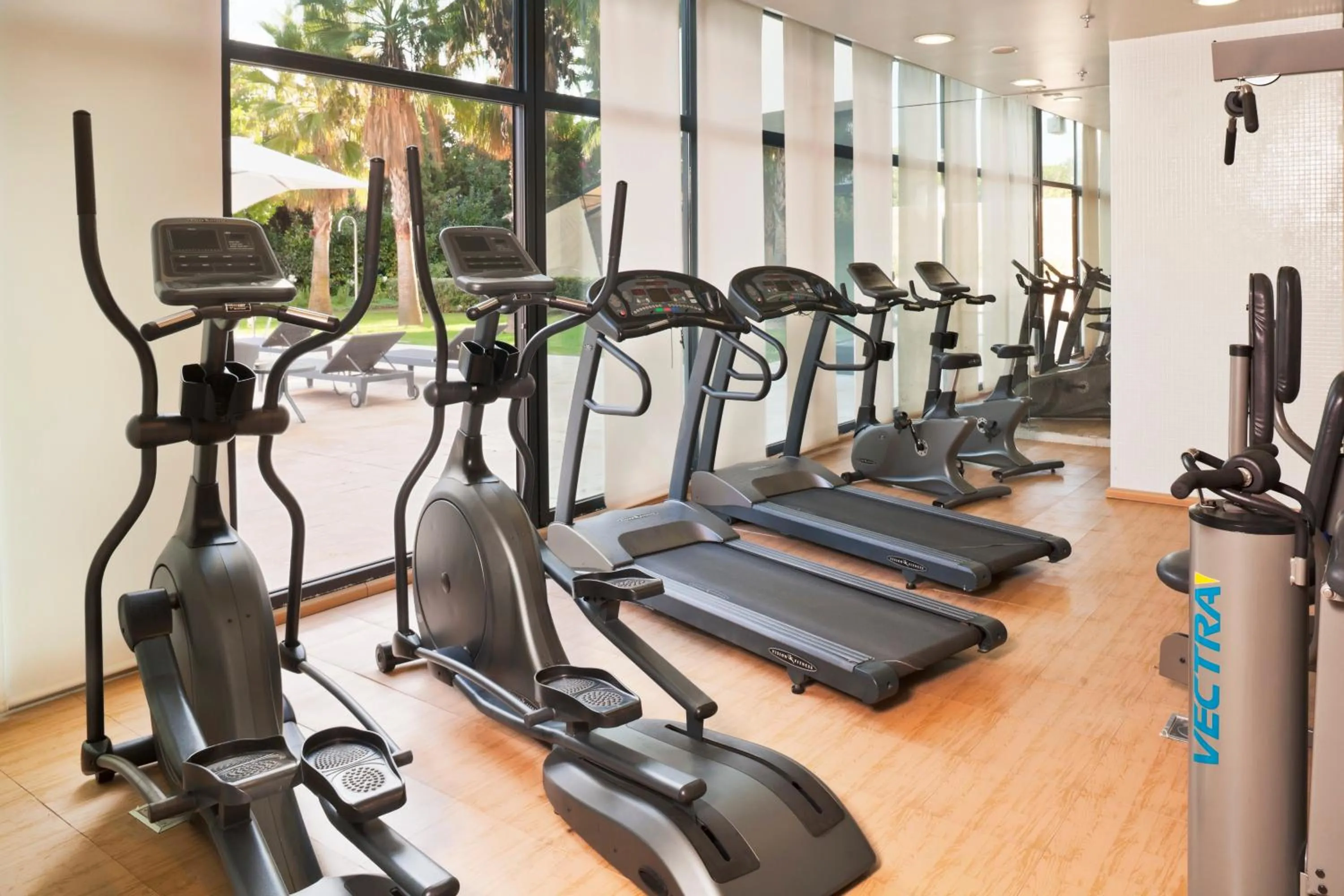 Fitness centre/facilities in Senator Banus
