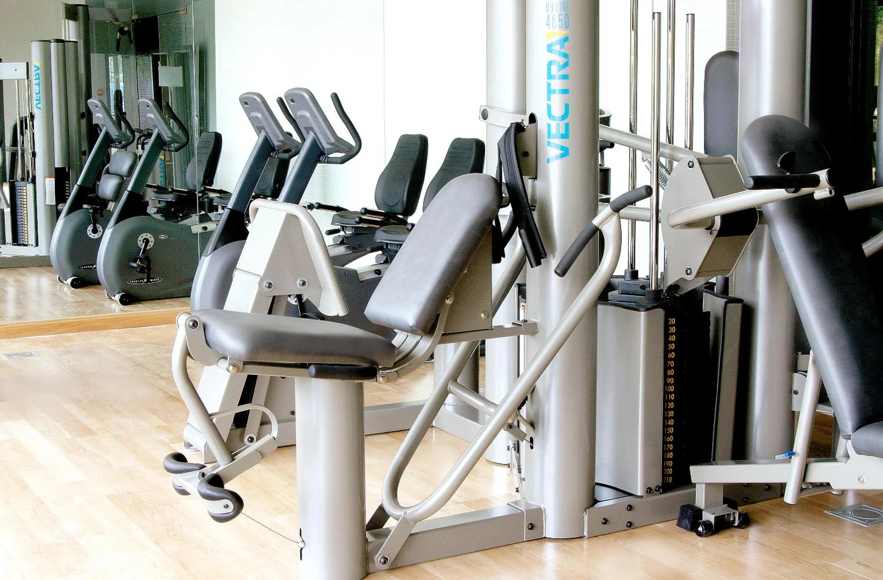 Fitness centre/facilities in Senator Banus
