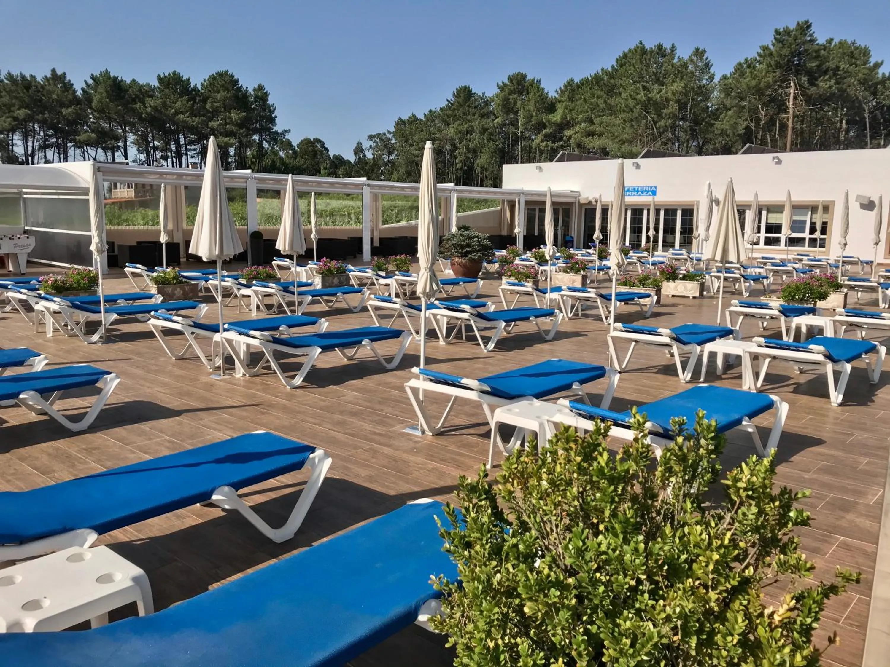 Solarium in Hotel Nuevo Vichona Spa 3 estrellas Superior