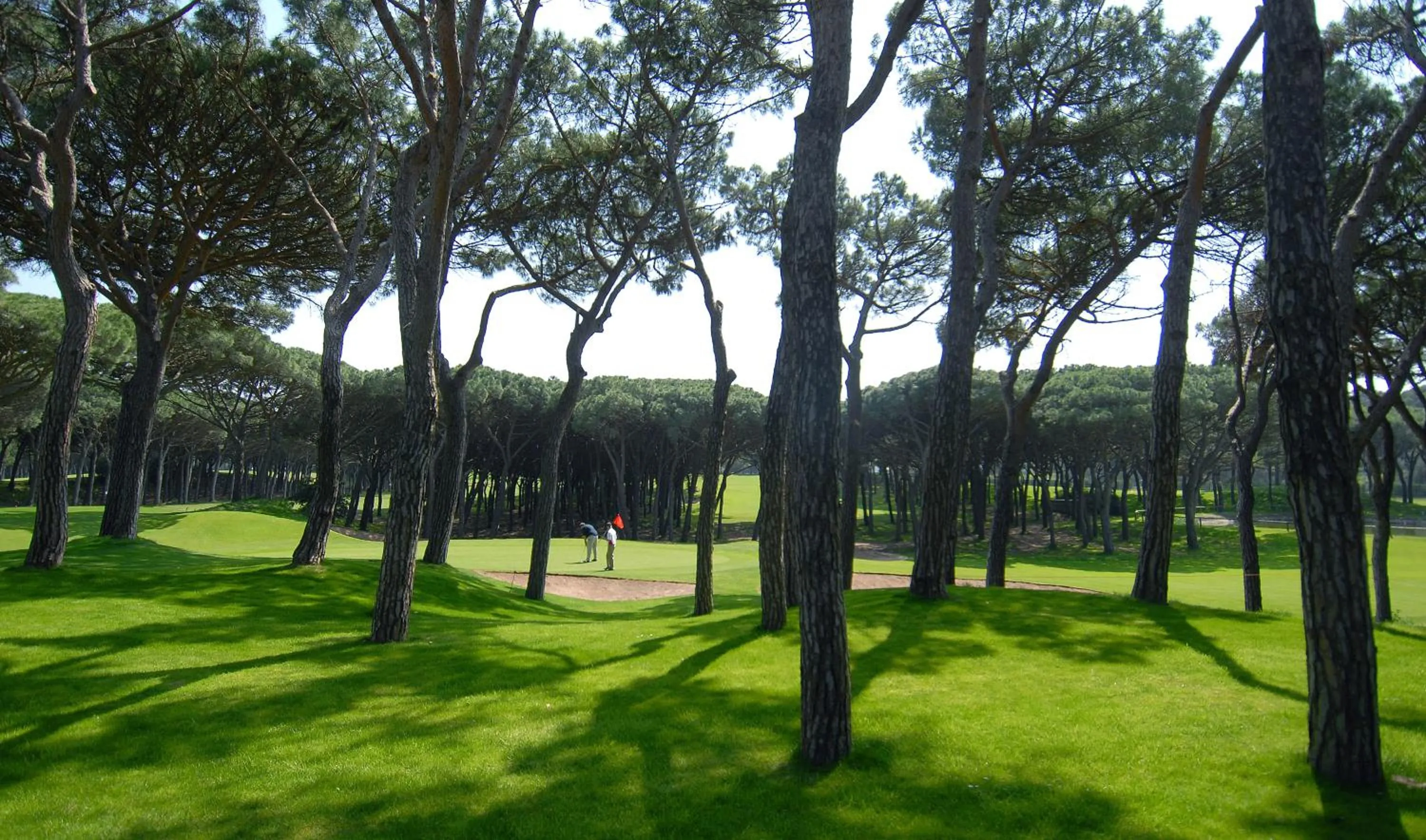 Golfcourse in La Costa Hotel Golf & Beach Resort