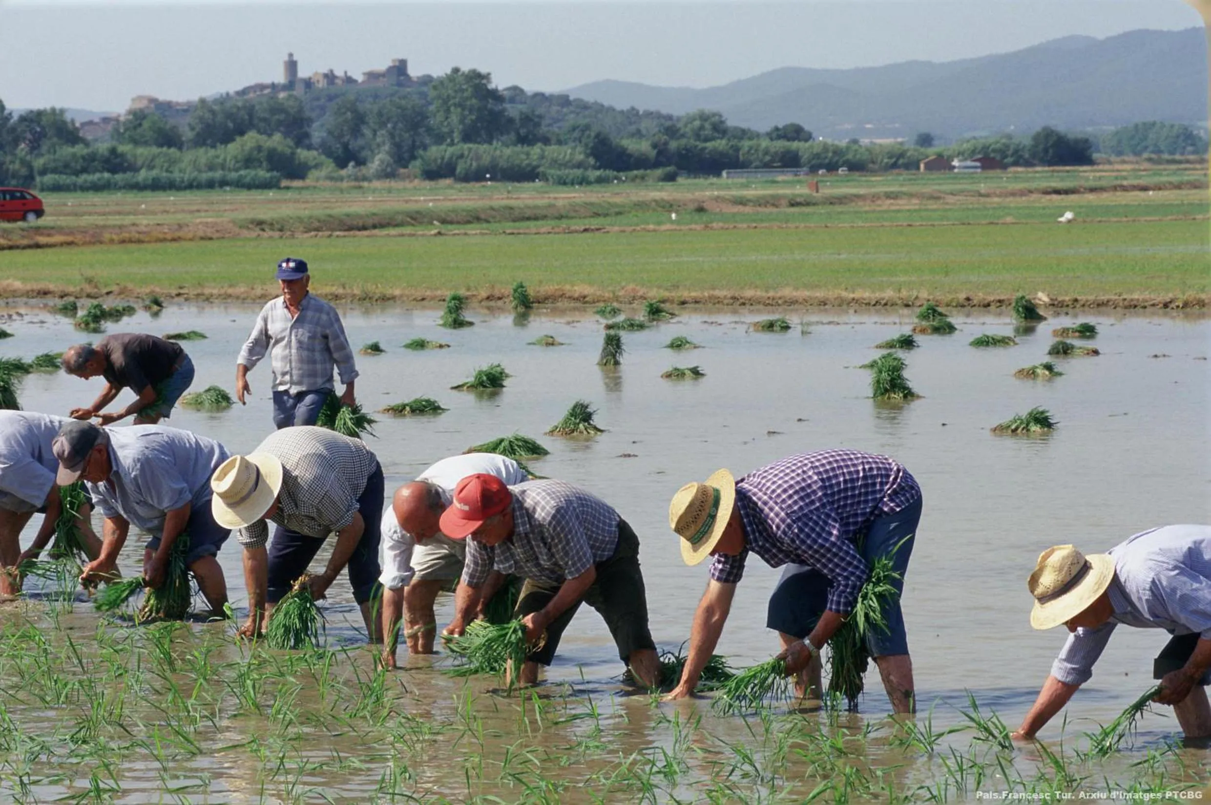 Nearby landmark in La Costa Hotel Golf & Beach Resort