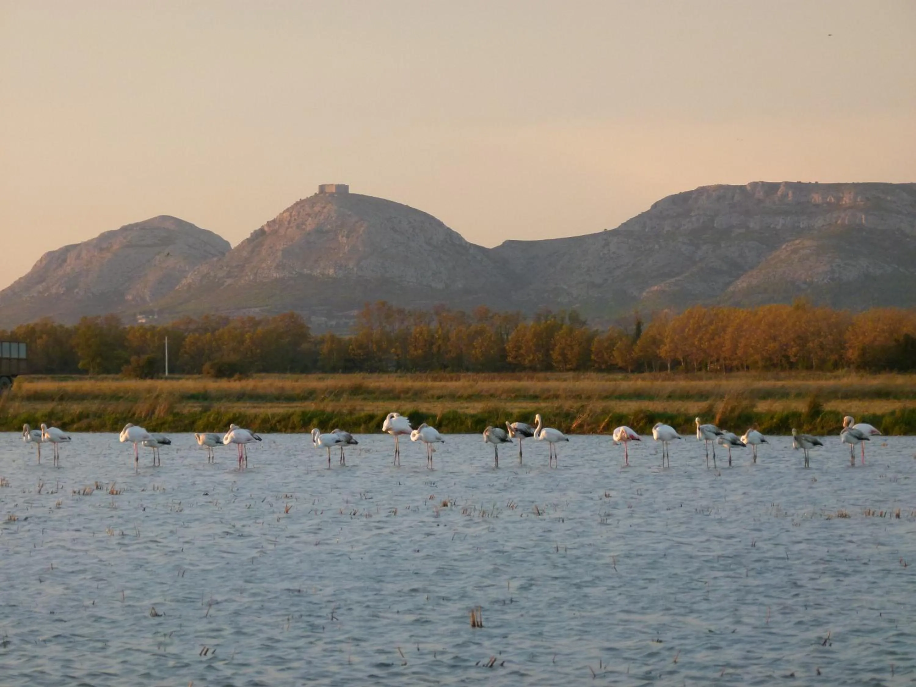 Off site in La Costa Hotel Golf & Beach Resort