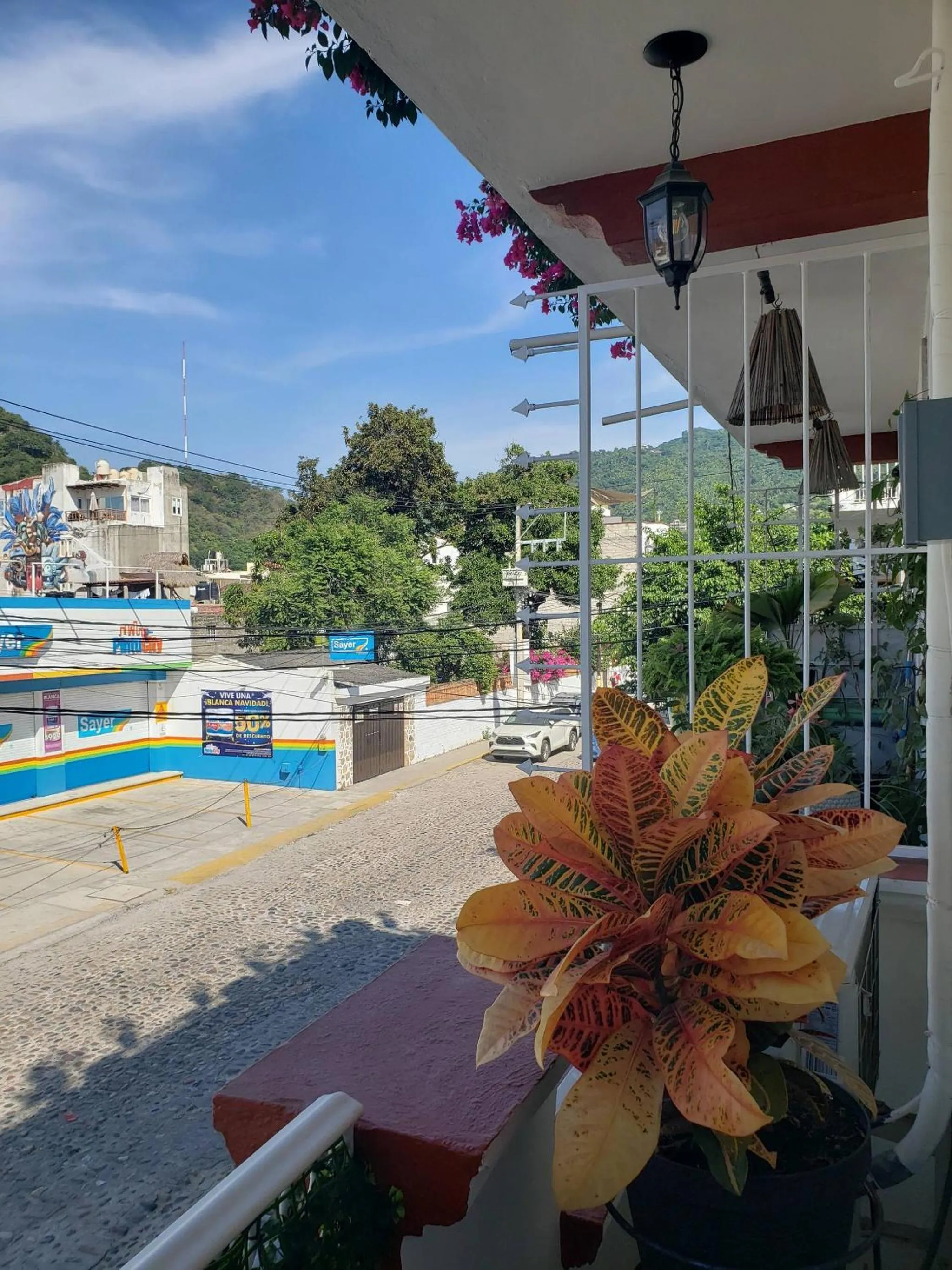 Other in Vive La Zona Romntica En Puerto Vallarta