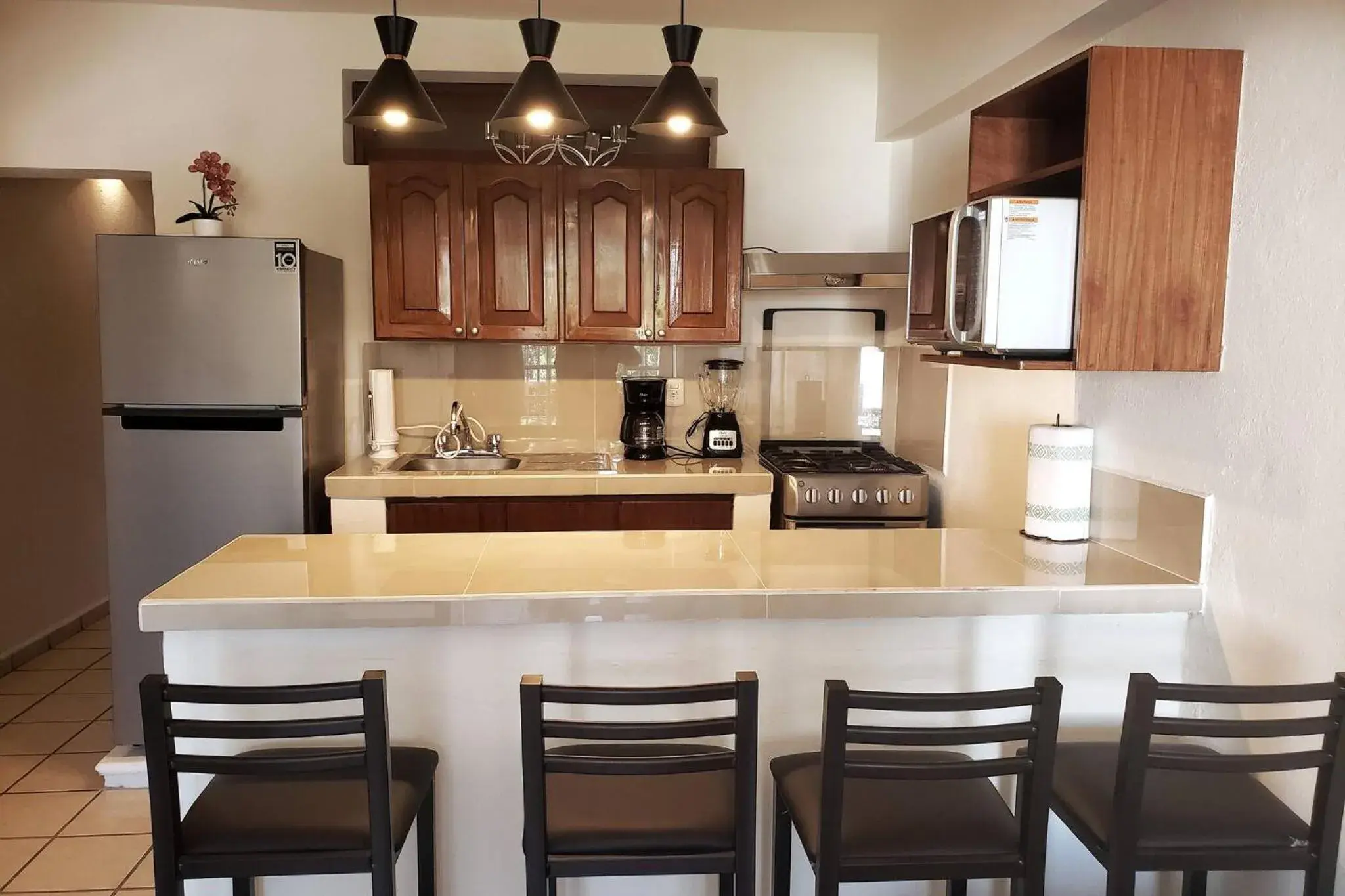 Vive La Zona Romntica En Puerto Vallarta Vive La Zona Romntica En Puerto Vallarta