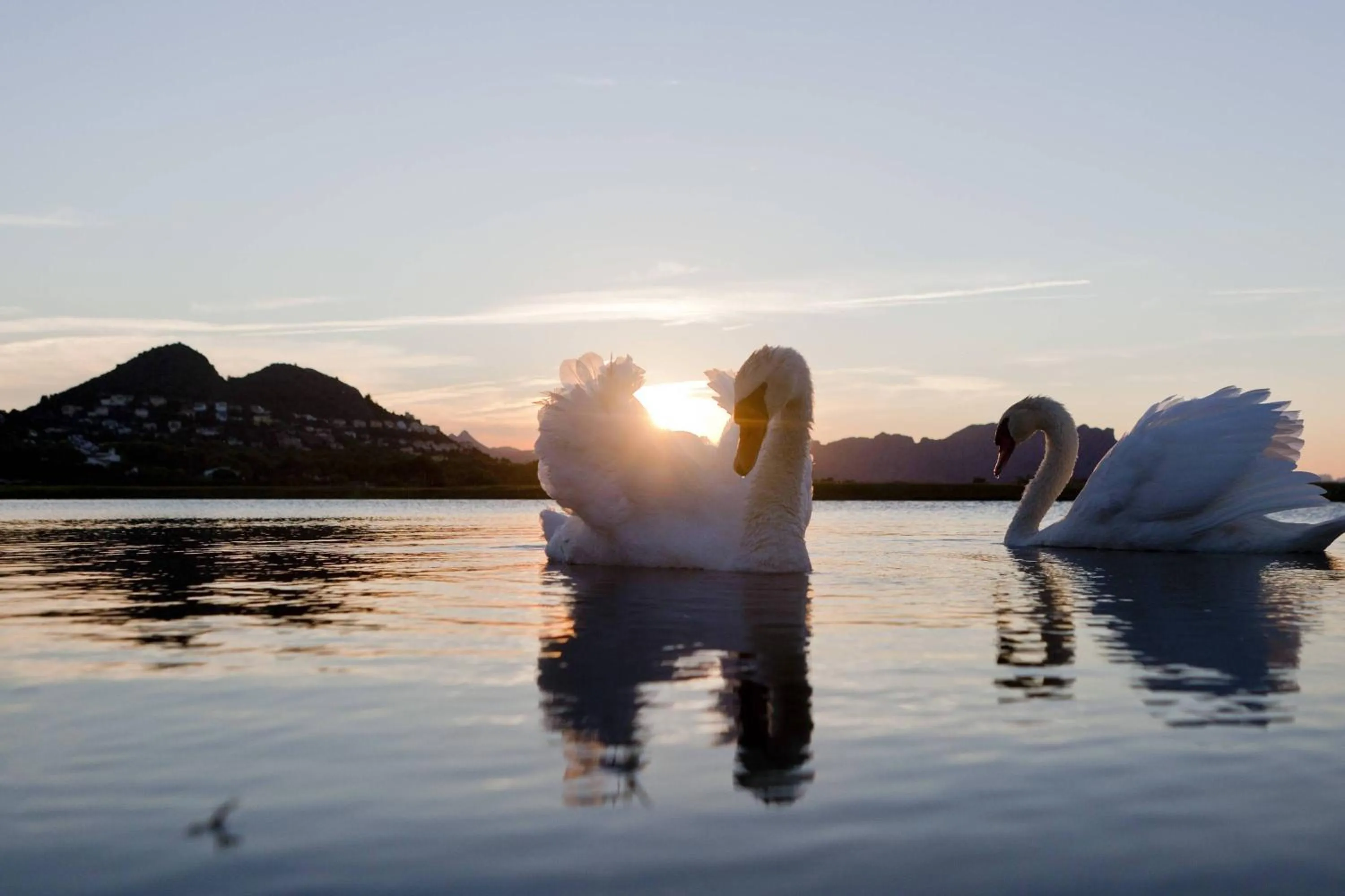 Other in Denia Marriott La Sella Golf Resort & Spa