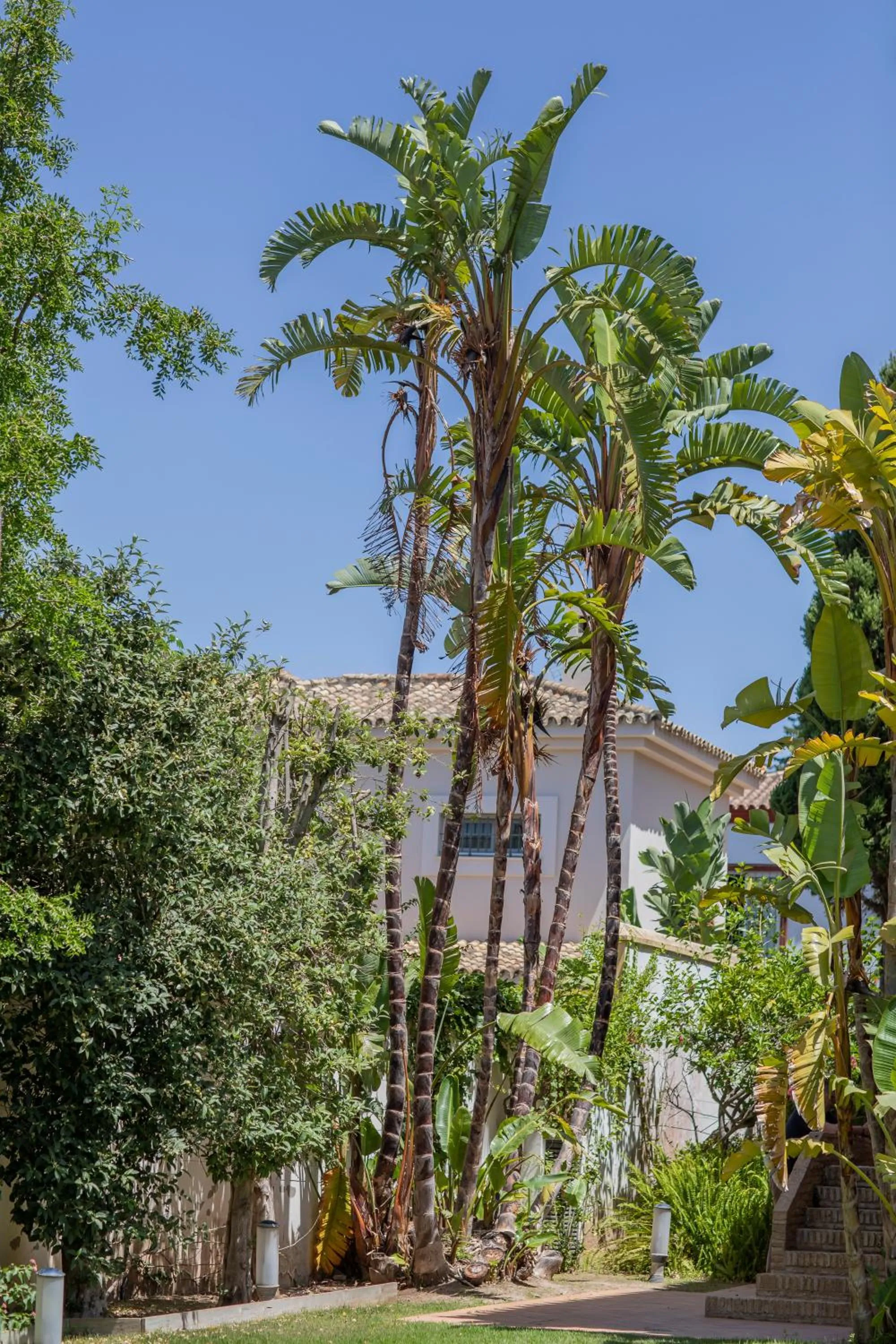 Apartamentos Soho Boutique Vistahermosa