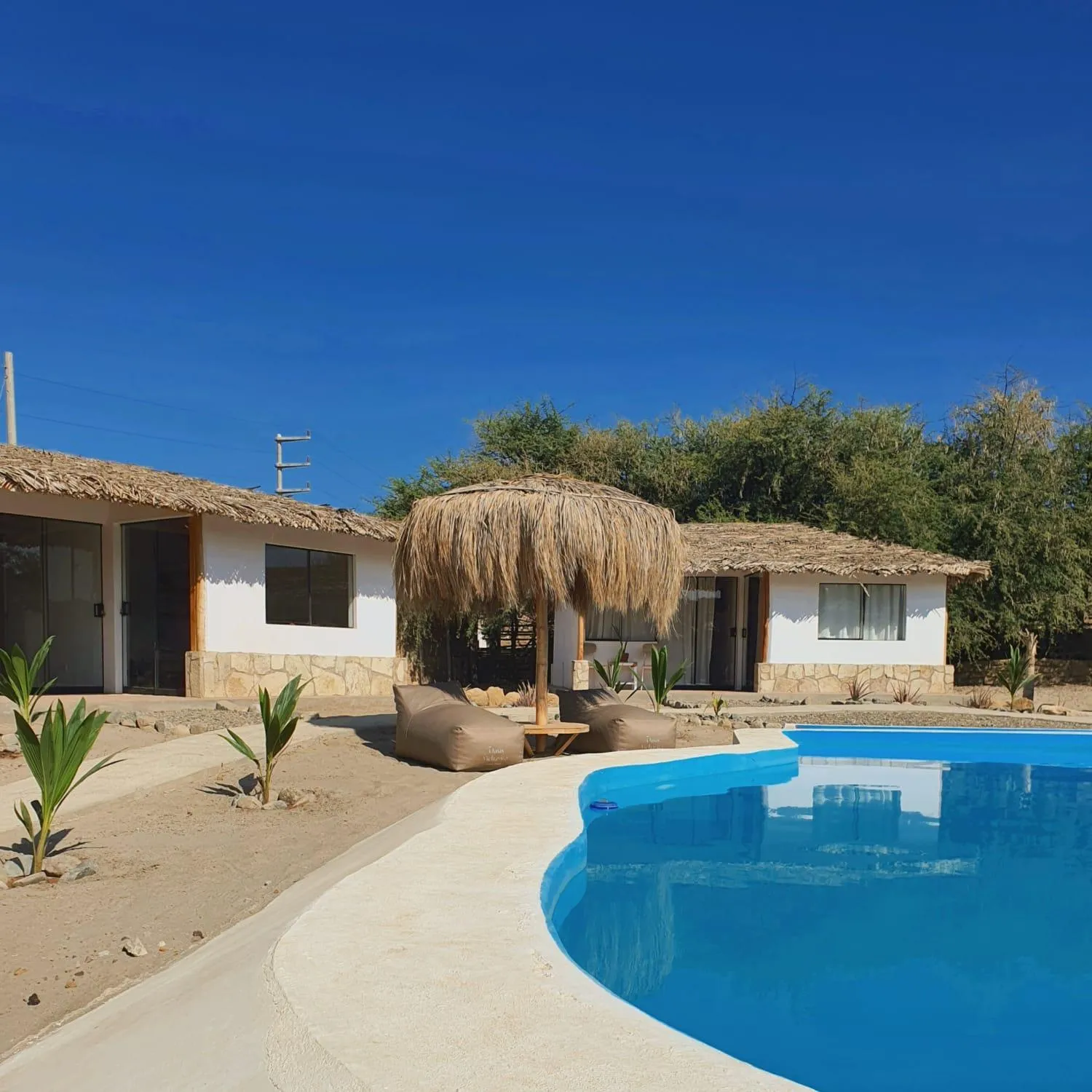 Swimming pool in Oasis de Vichayito