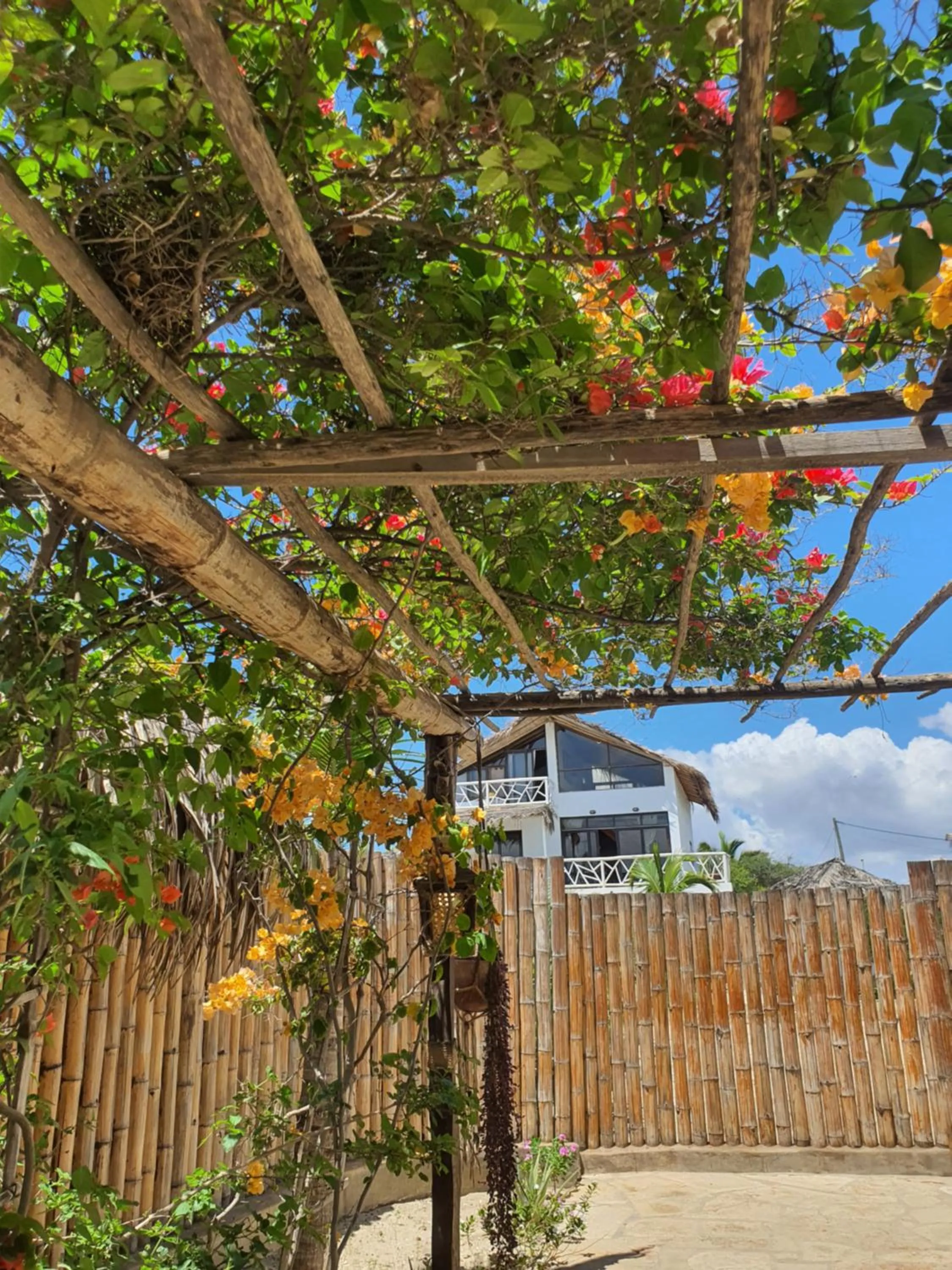 Facade/entrance in Oasis de Vichayito