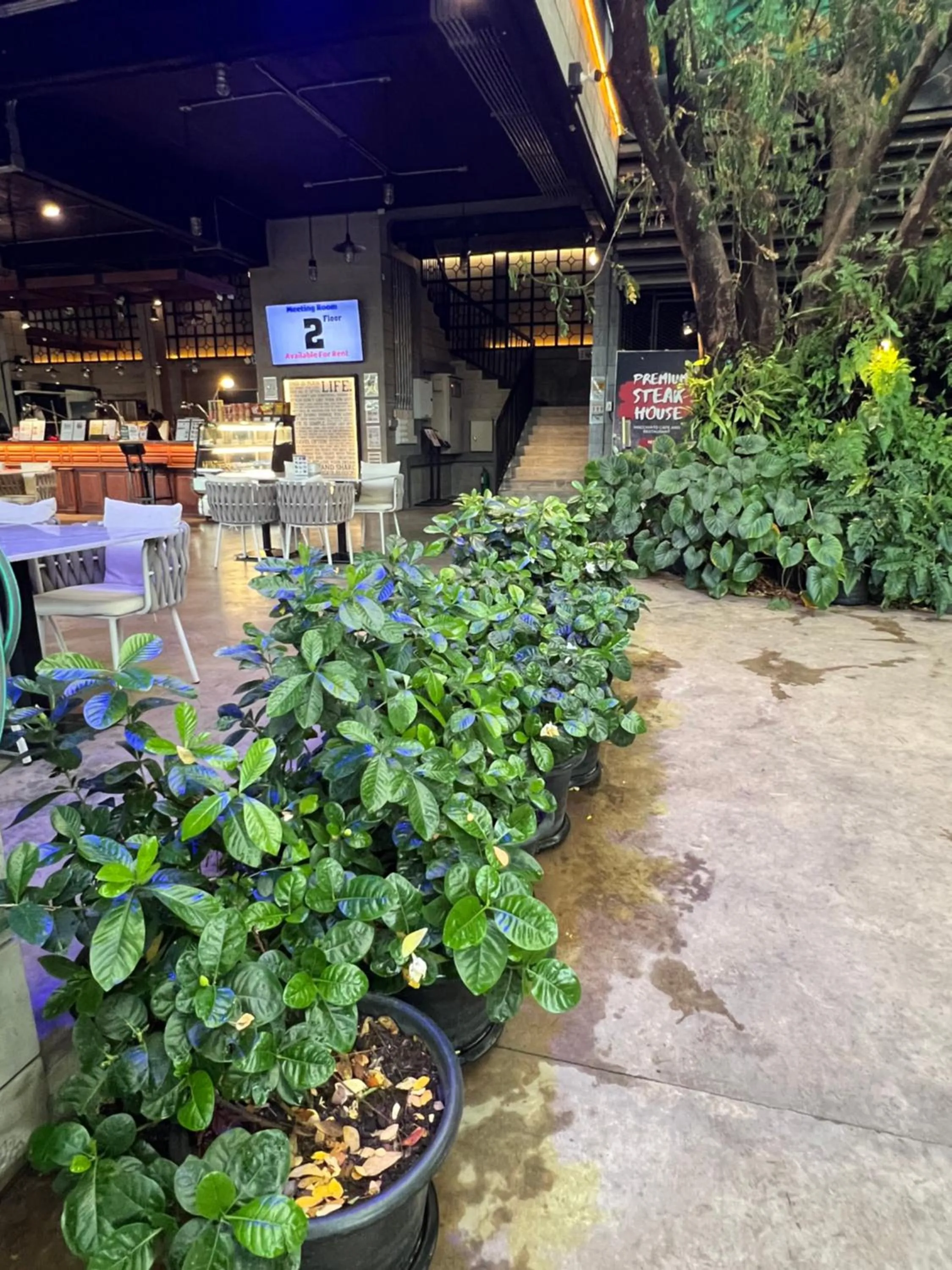 Macchiato Resort Savannakhet Opposite Thai Embassy