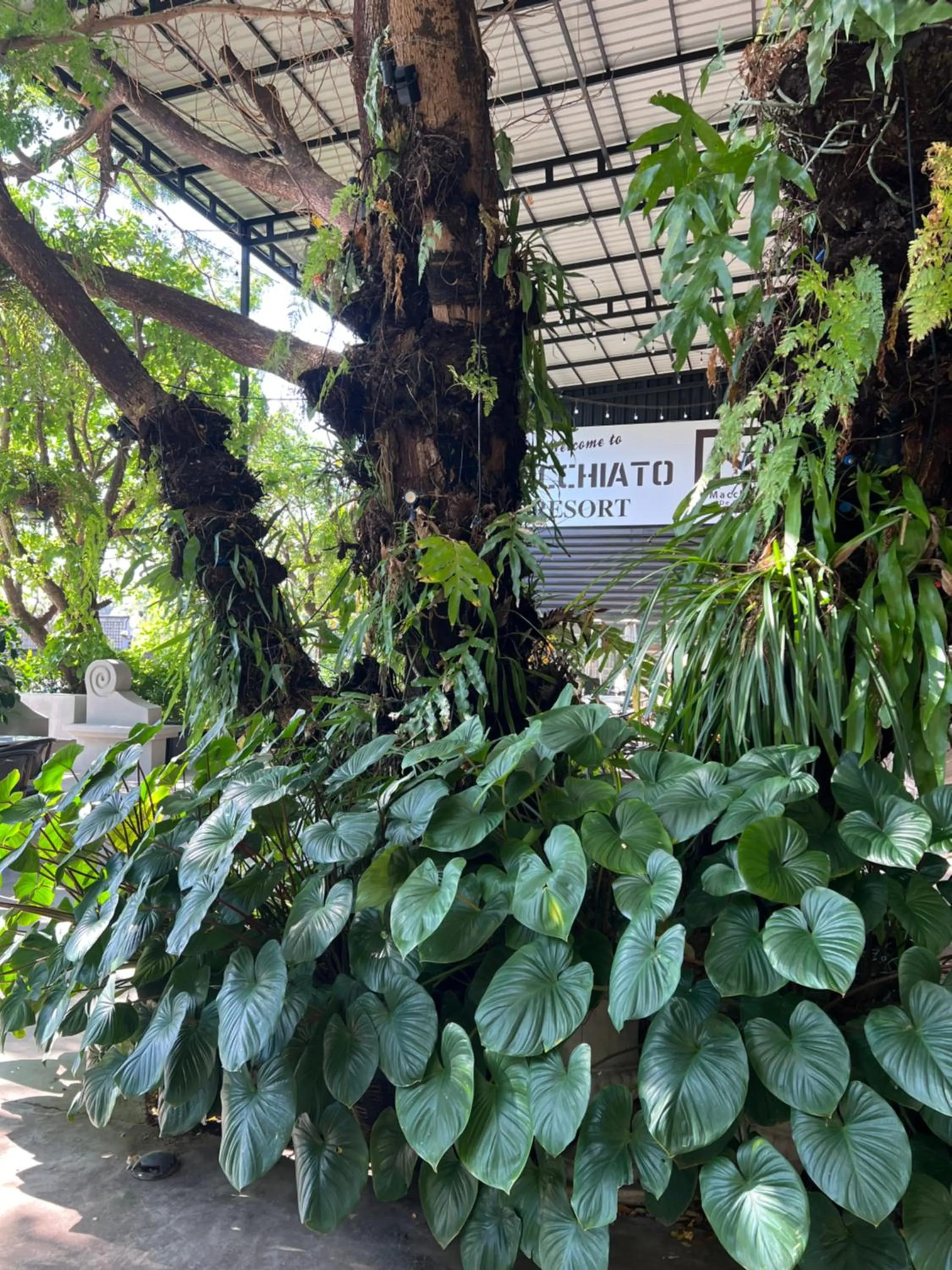 Macchiato Resort Savannakhet Opposite Thai Embassy