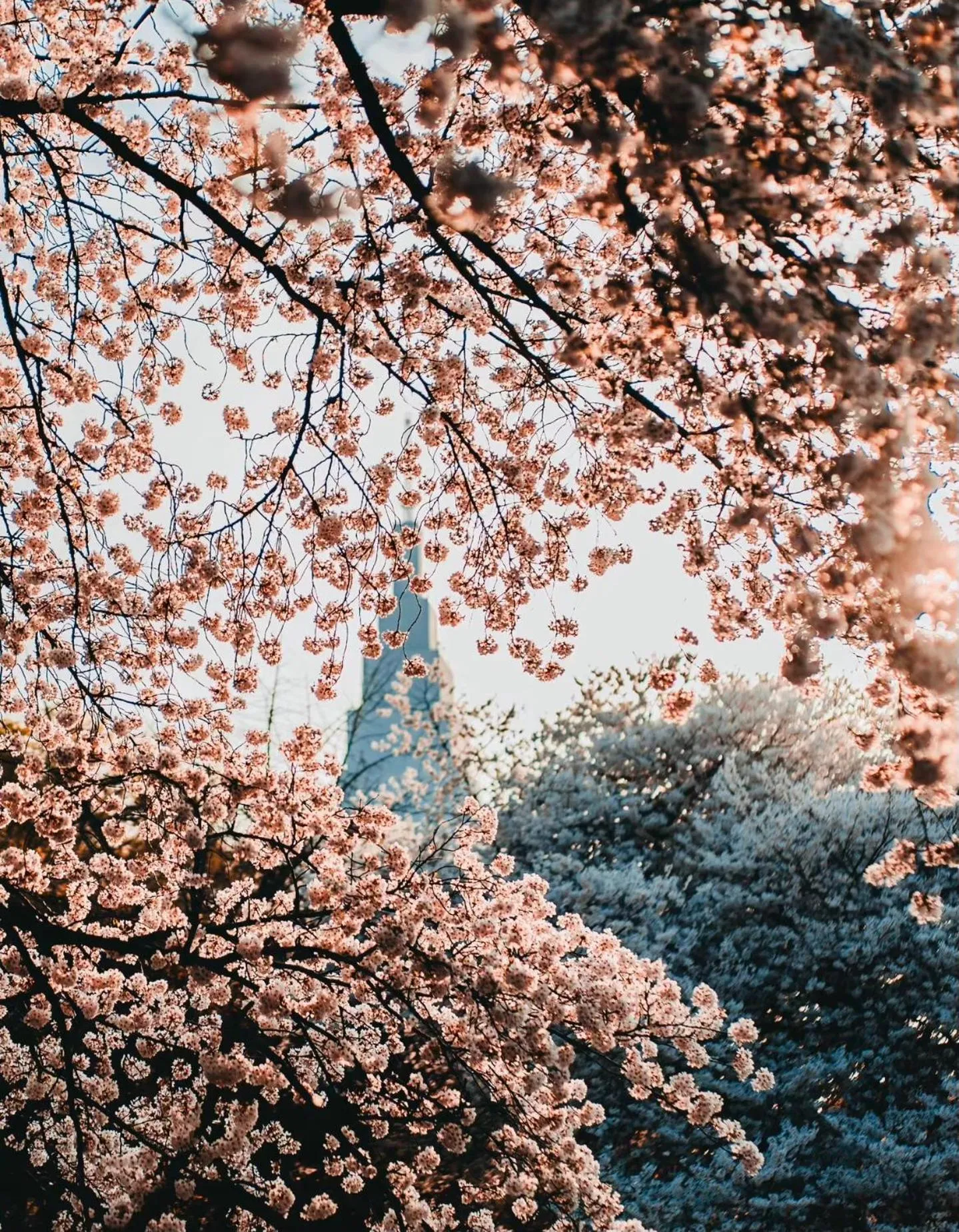 season guest house in nishi shinjuku 100 square meters, 4 bedrooms, 2 living rooms