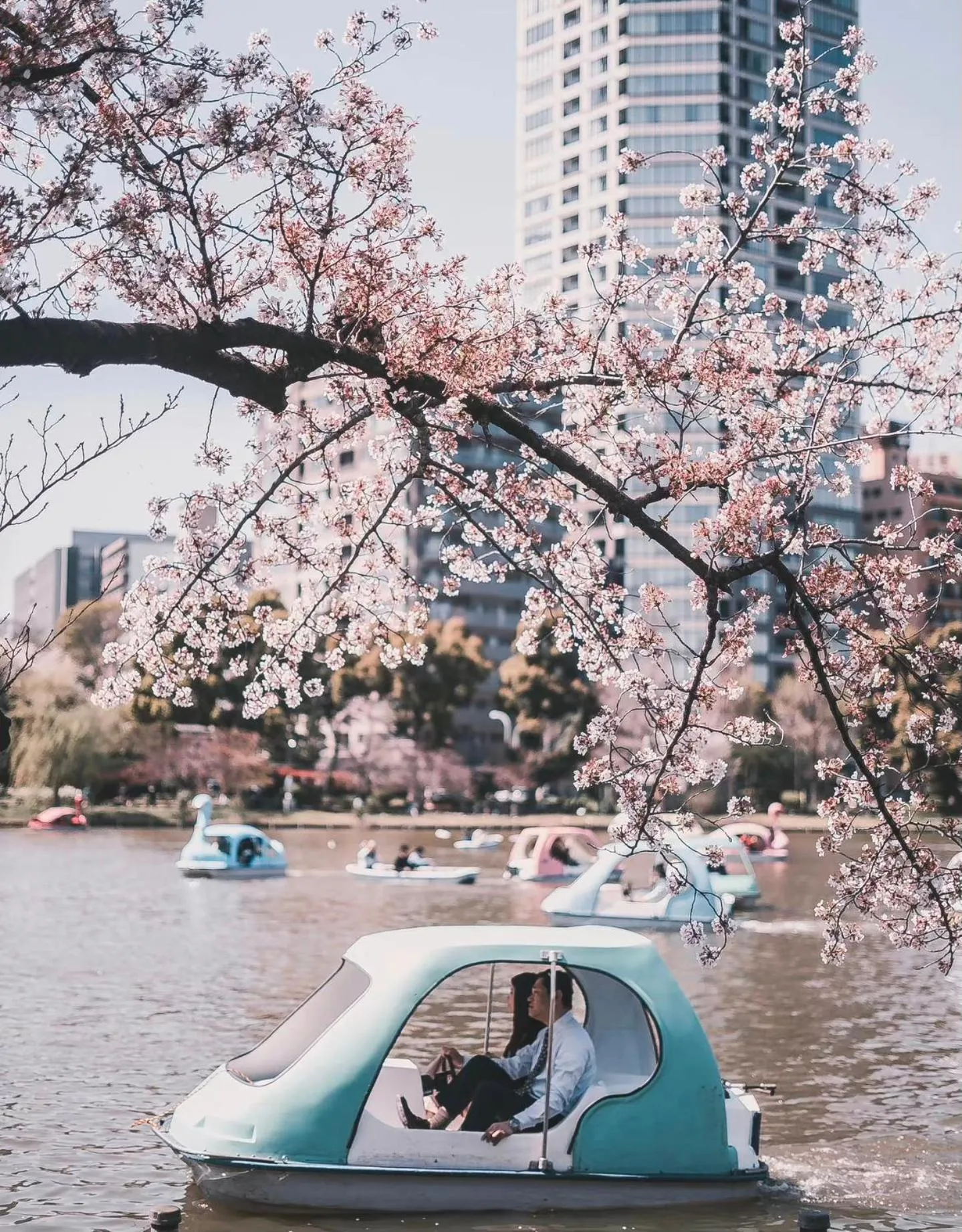 season guest house in nishi shinjuku 100 square meters, 4 bedrooms, 2 living rooms