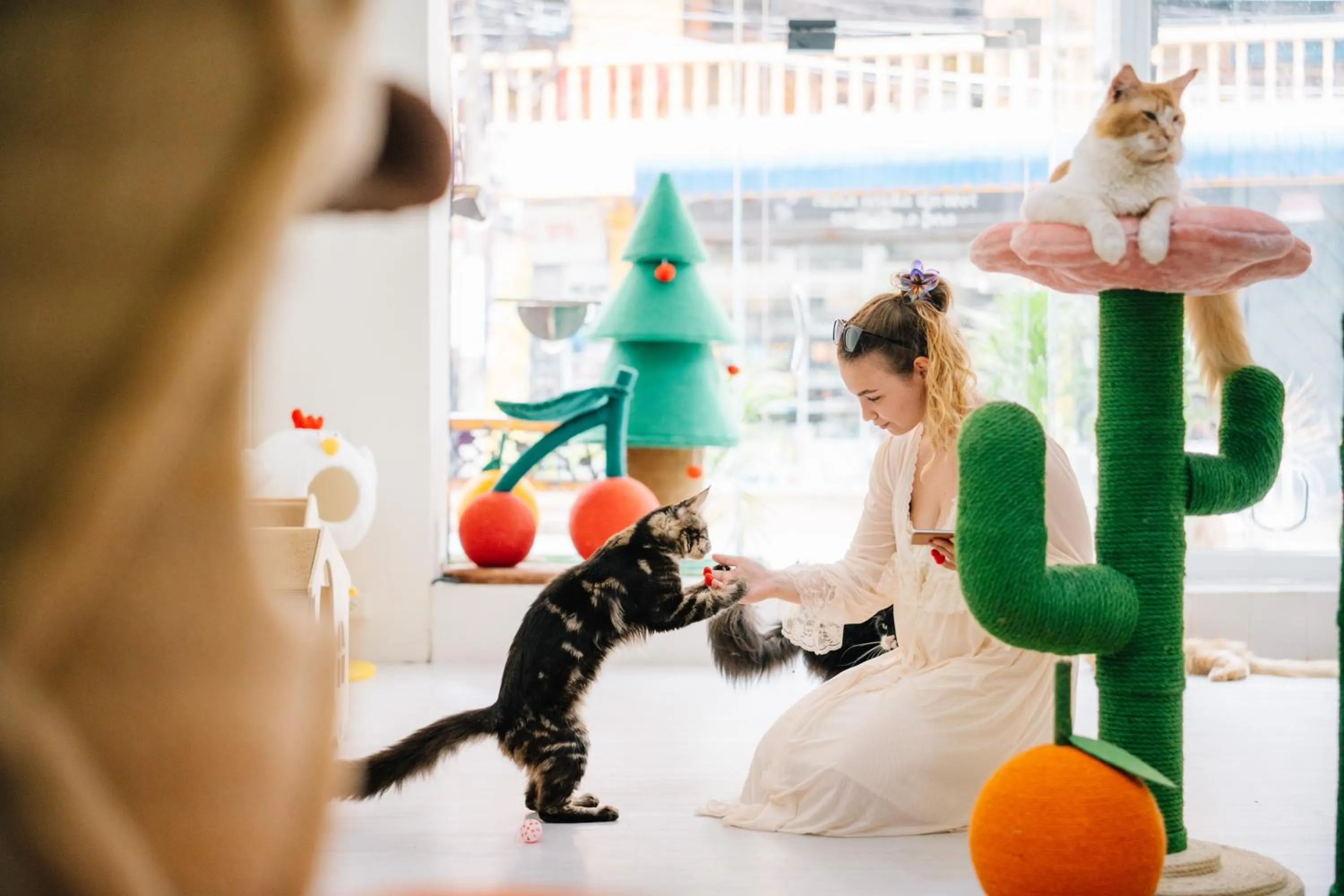 People in Catnip Seaside Hotel&Cafe