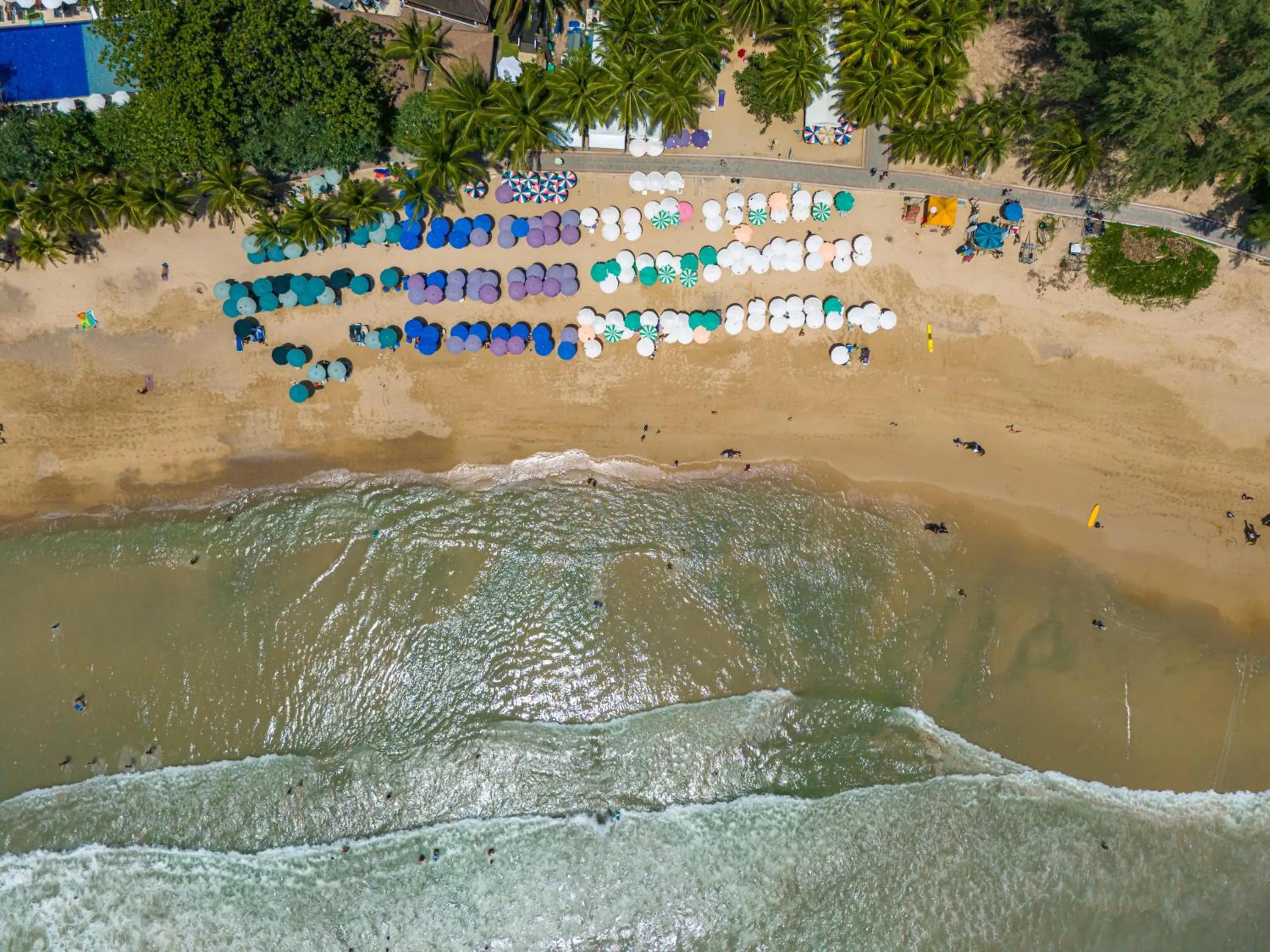 Catnip Seaside Hotel&Cafe