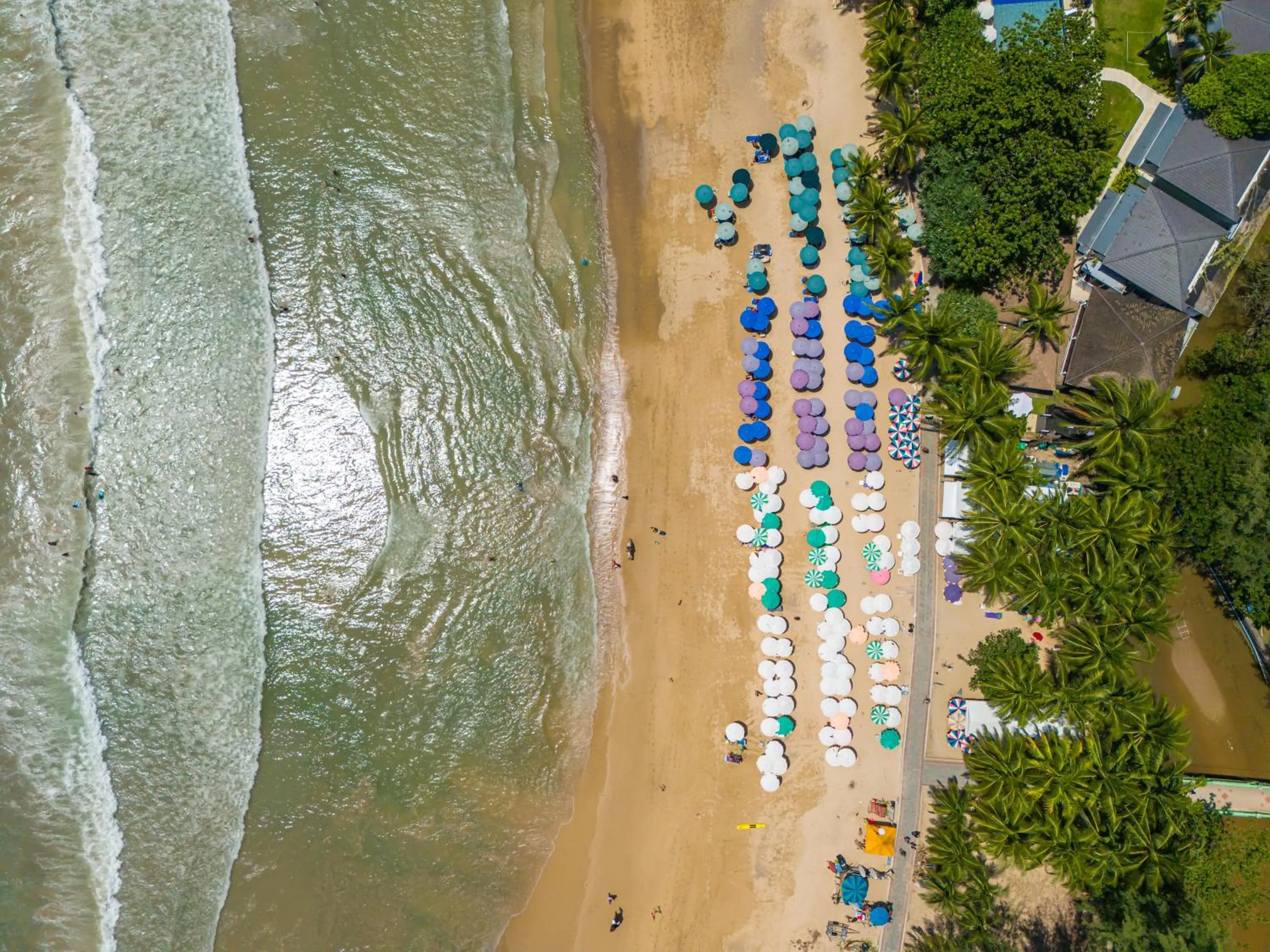 Catnip Seaside Hotel&Cafe