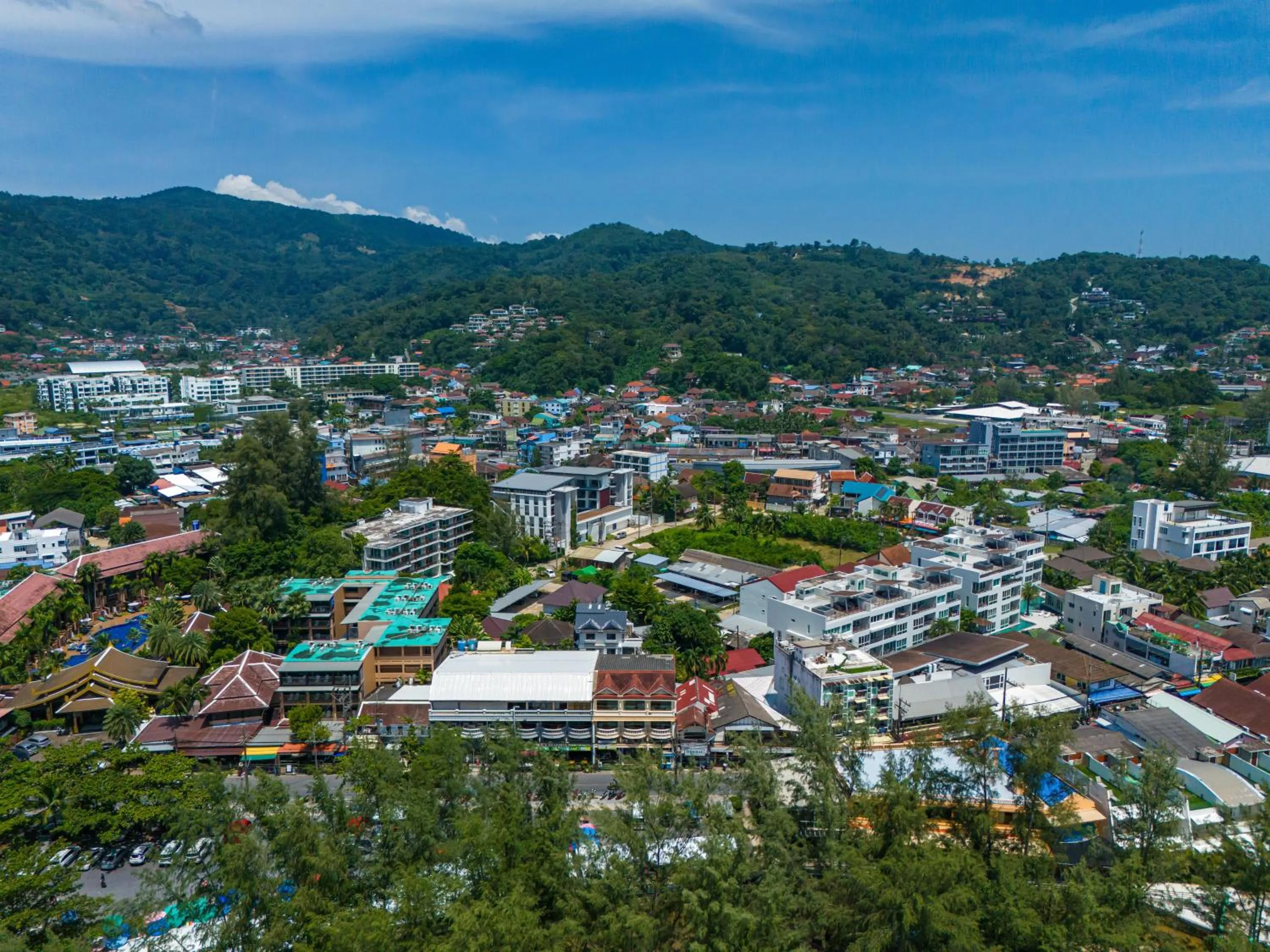 Catnip Seaside Hotel&Cafe