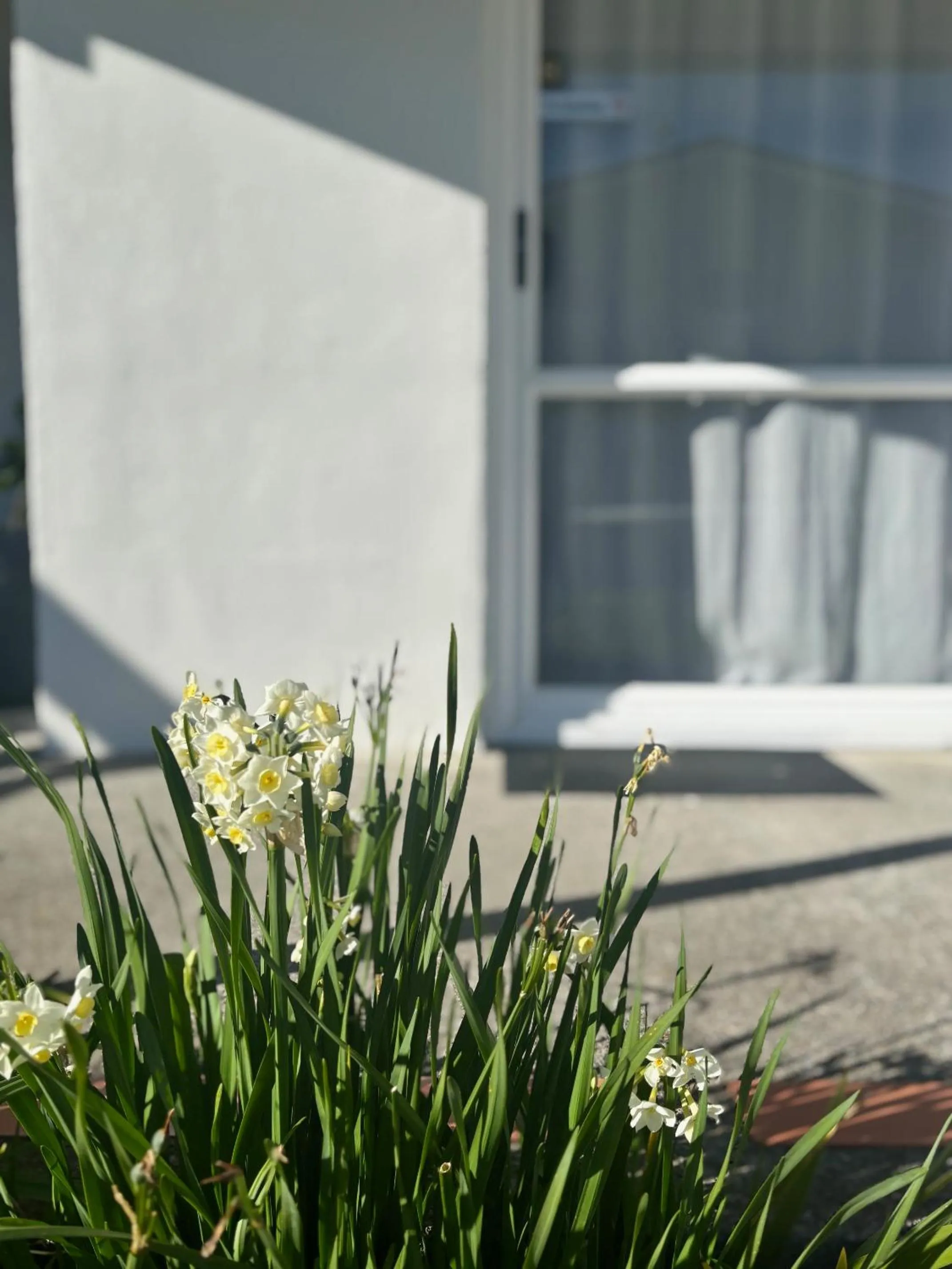 Spring in Parkside Motel and Apartments