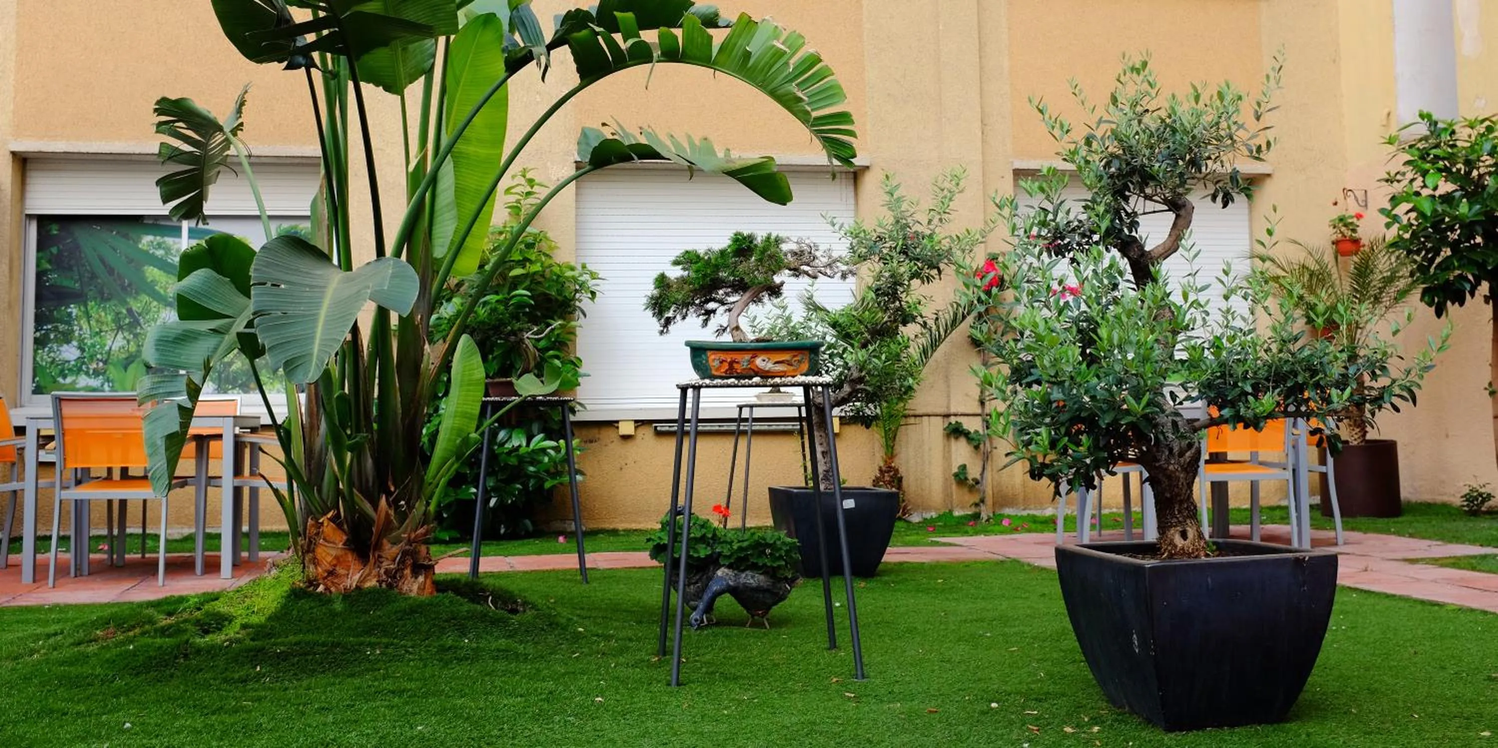 Patio in Aparthotel Silver